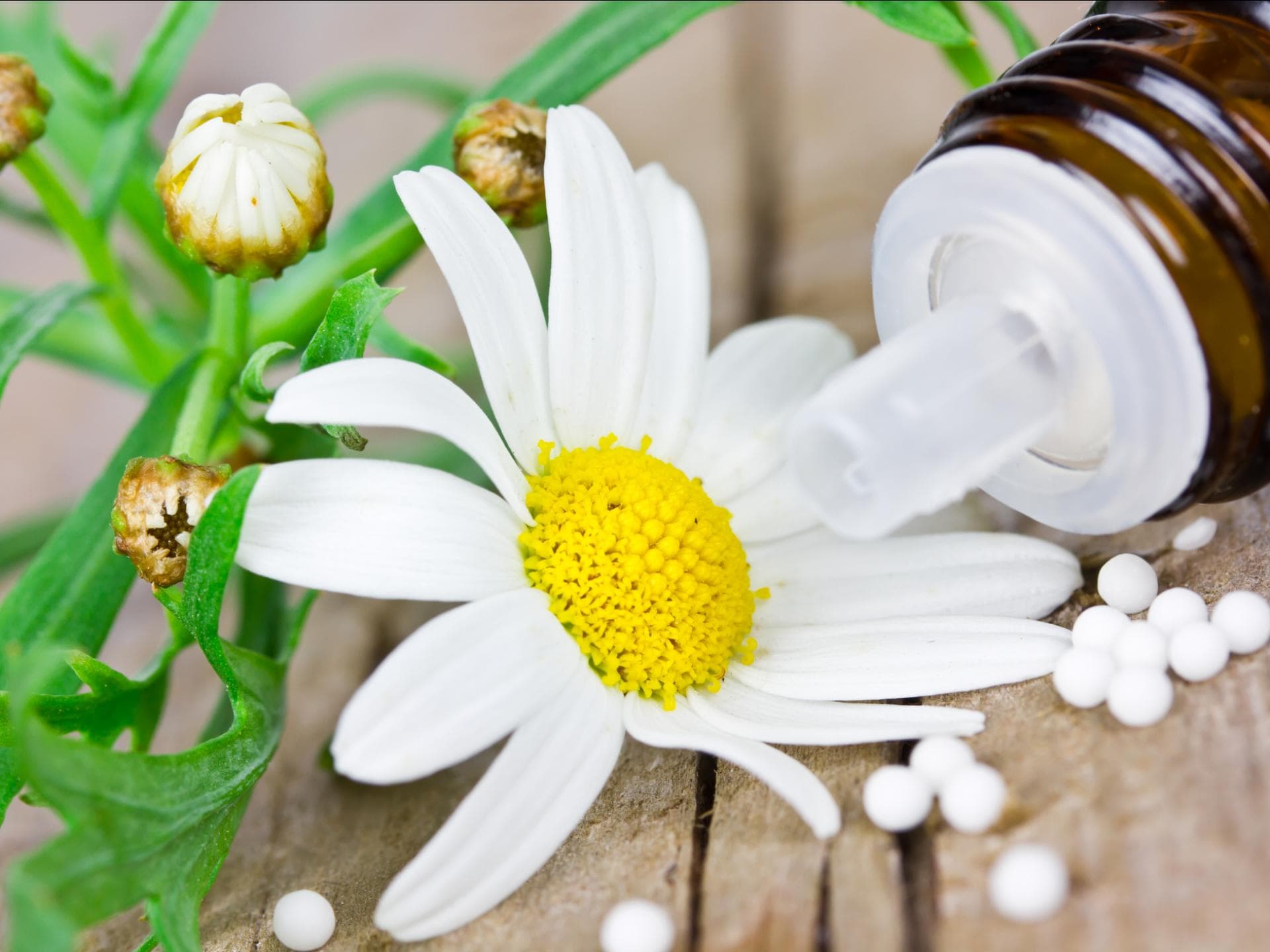 Homöopathie für Kinder Homöopathie für Kinder