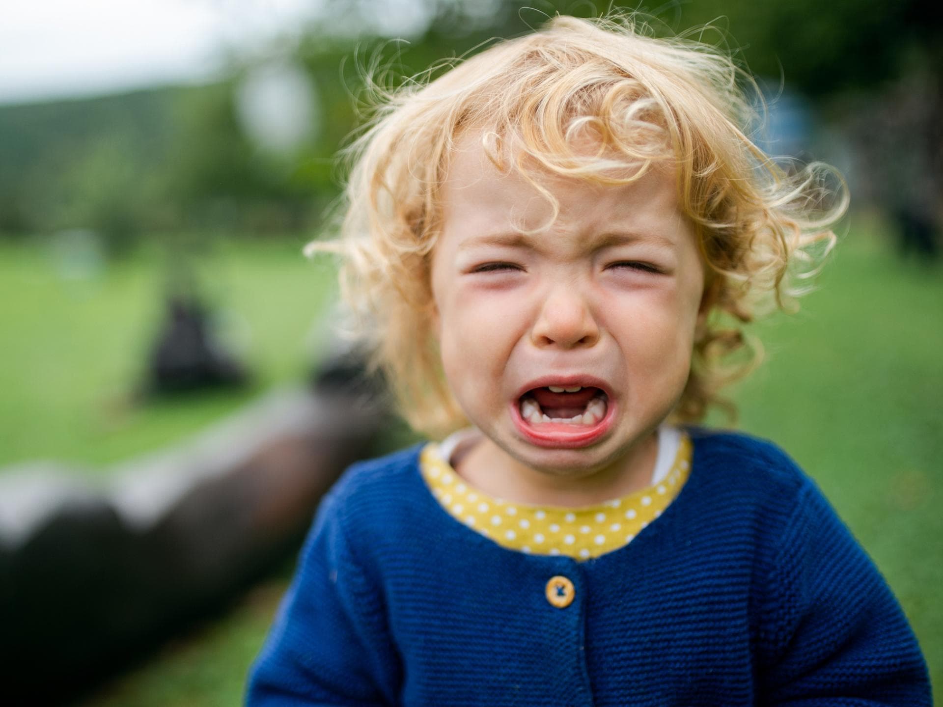 Auslöser für Wutanfälle bei Kindern Auslöser für Wutanfälle bei Kindern