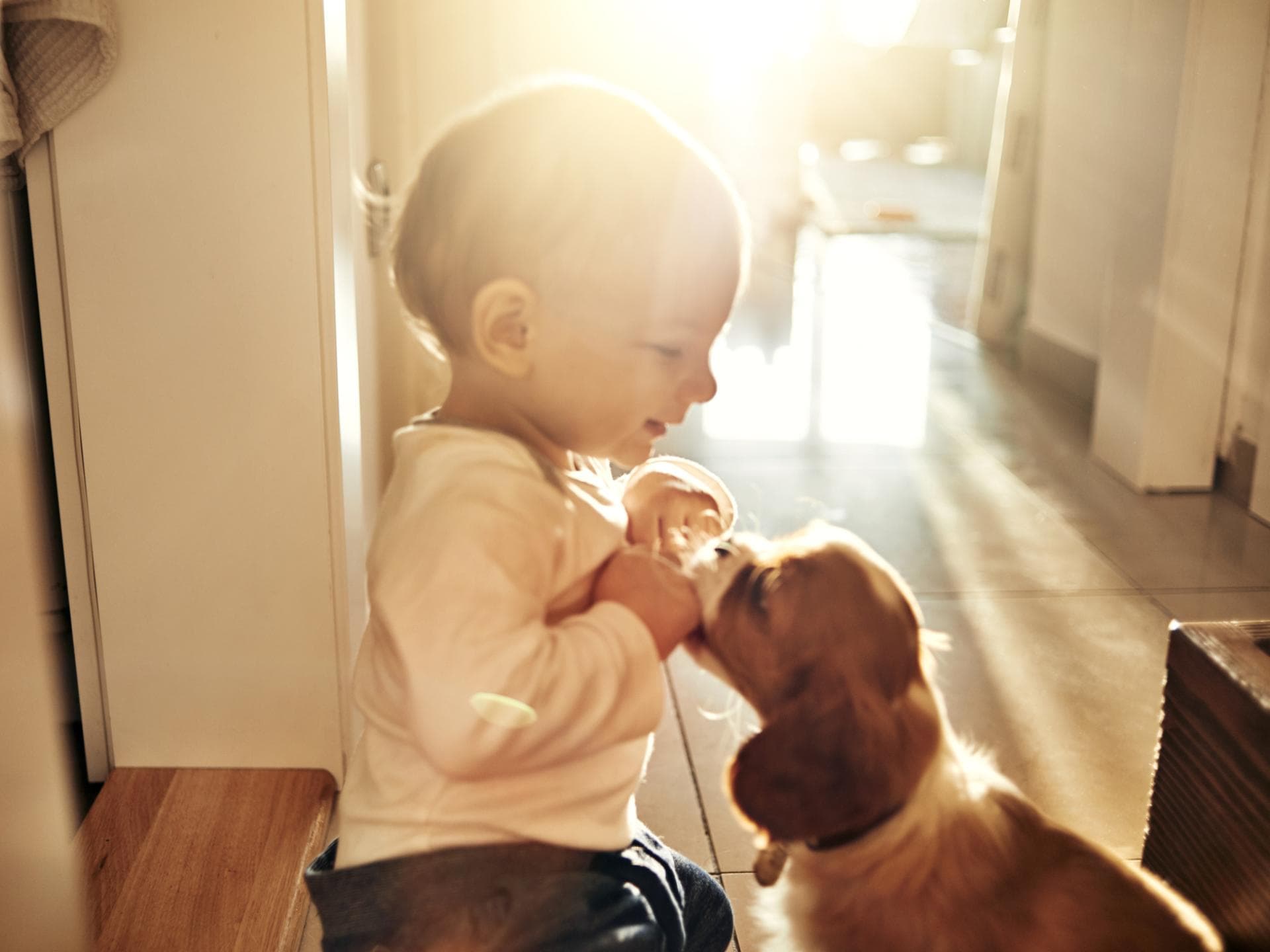 Die Regeln für den Umgang von Hund und Kind