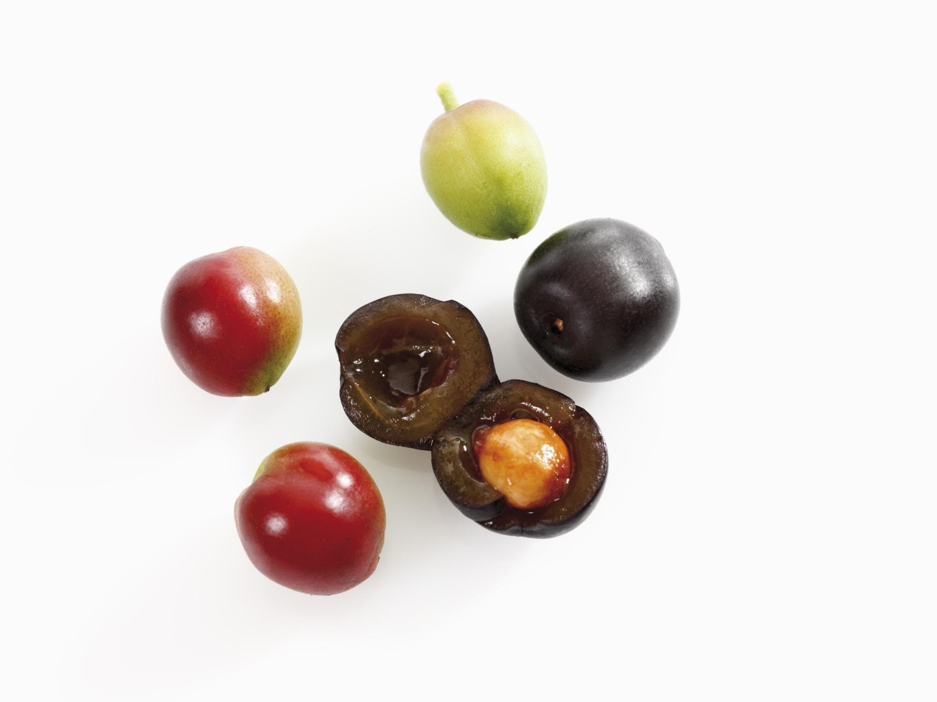 Aufgeschnittene Früchte des Kirschlorbeer Aufgeschnittene Früchte des Kirschlorbeer