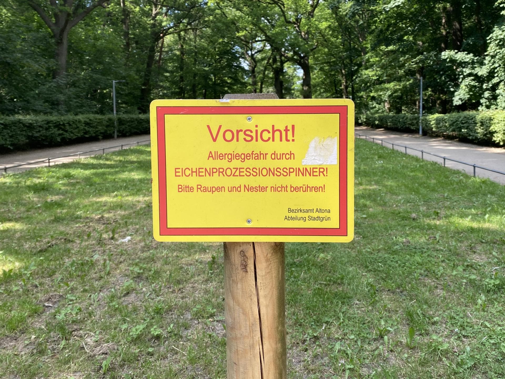 Warnhinweisschild Eichenprozessionsspinner