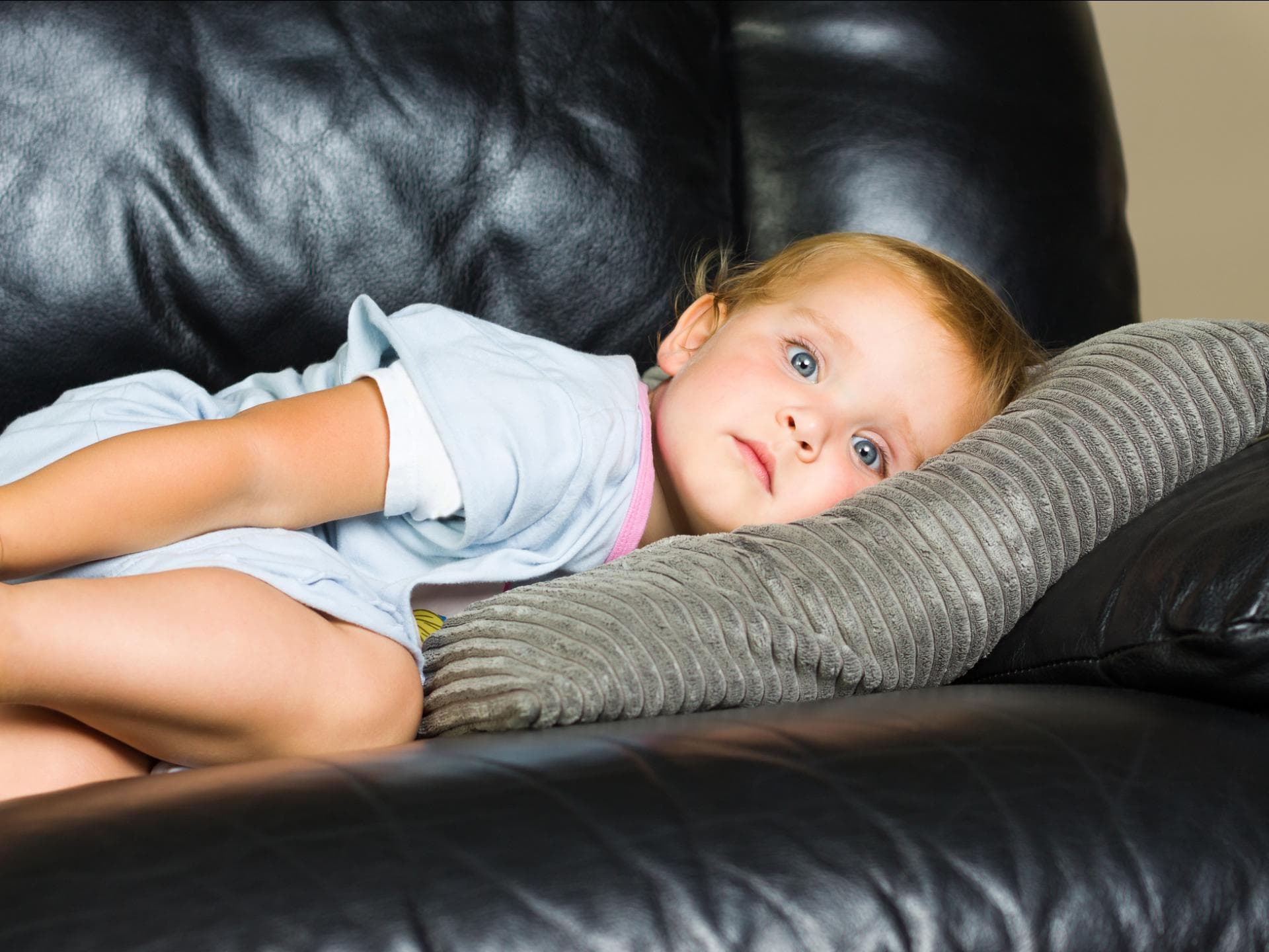 Belgisches kleines Mädchen liegt auf dem Sofa