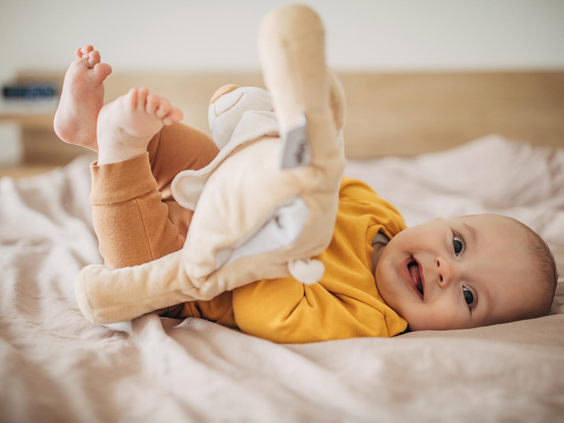 Kleiner Baby-Junge lacht fröhlich in die Kamera und hält ein Stofftier in den Händen. Kleiner Baby-Junge lacht fröhlich in die Kamera und hält ein Stofftier in den Händen.