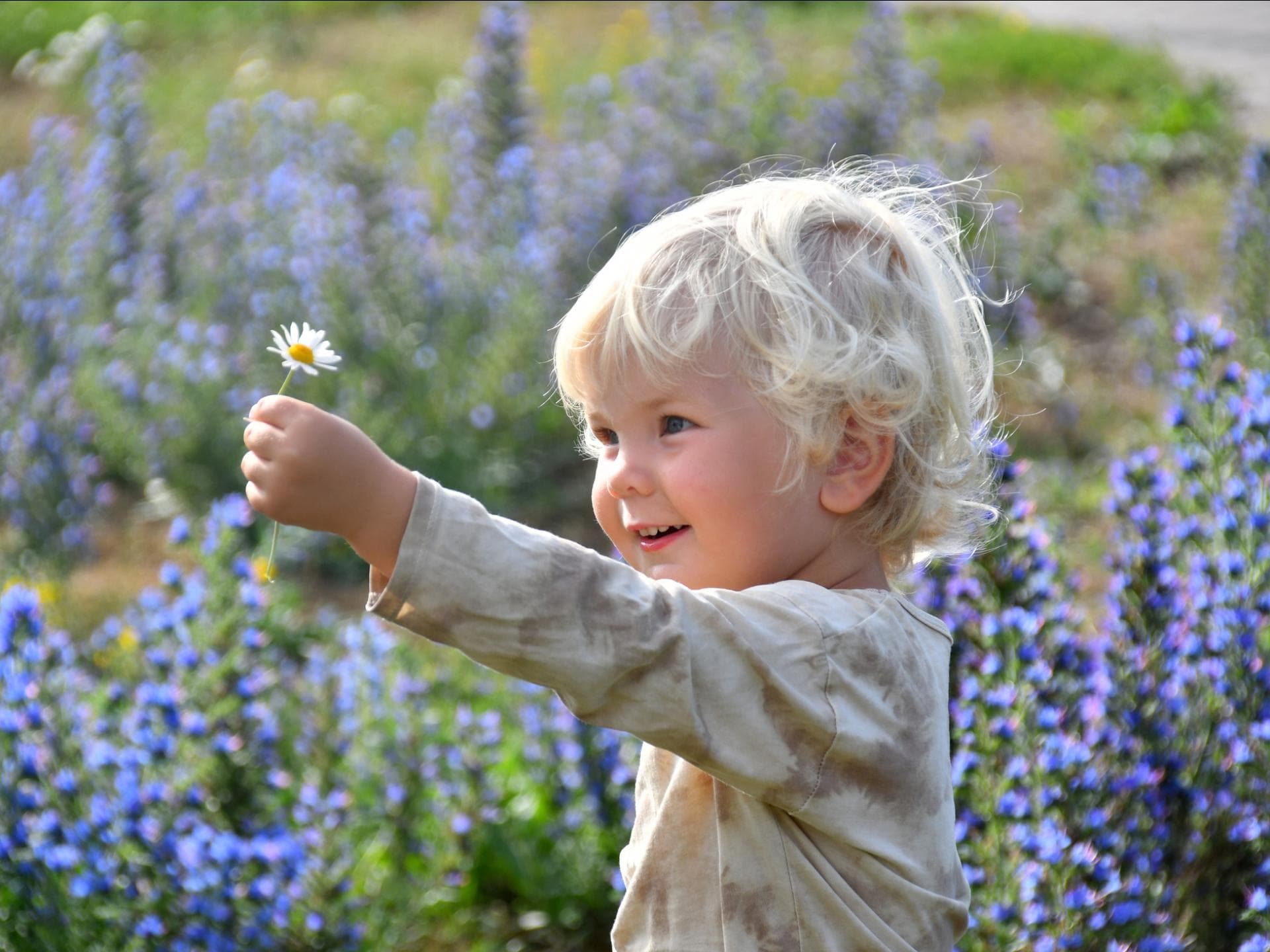 Ein kleiner Junge zeigt stolz sein gepflücktes Gänseblümchen.
