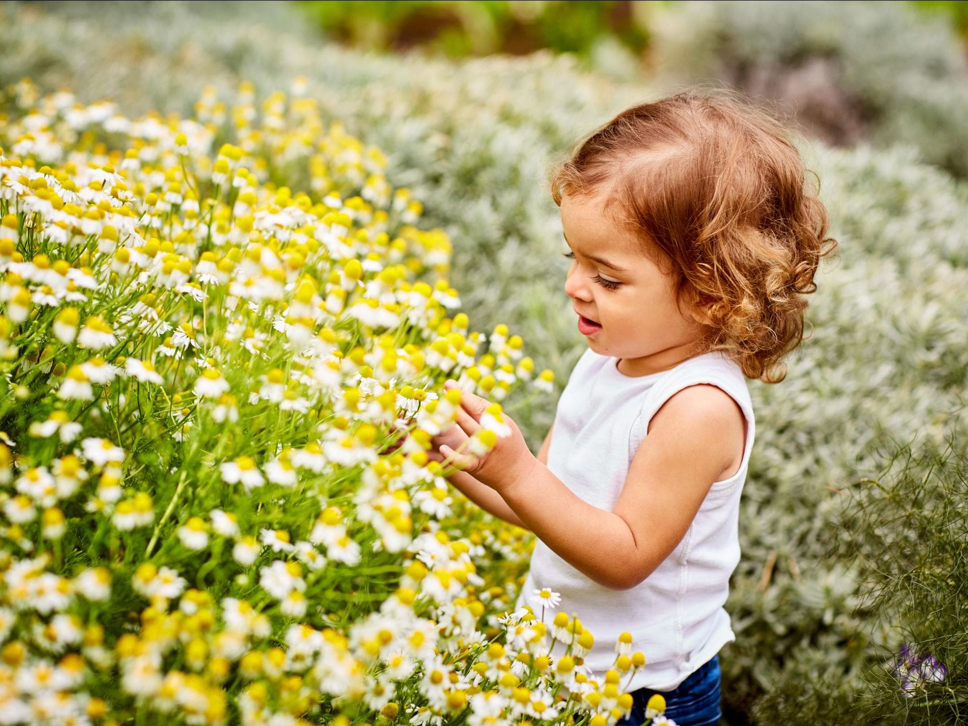 Ein kleines Mädchen steht auf einer Blumenwiese und greift nach einer Blüte.