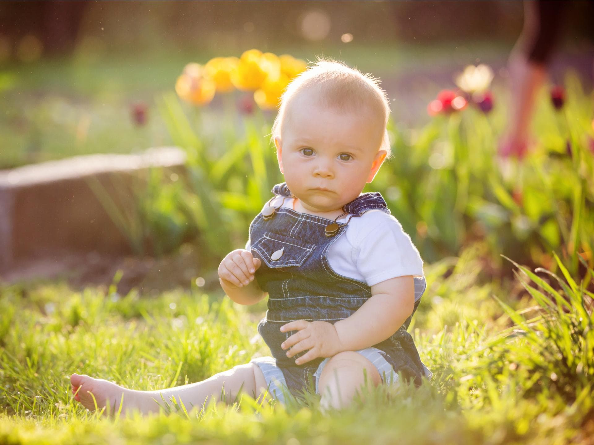 Ein kleiner Junge sitzt auf dem Gras und staunt. Ein kleiner Junge sitzt auf dem Gras und staunt.