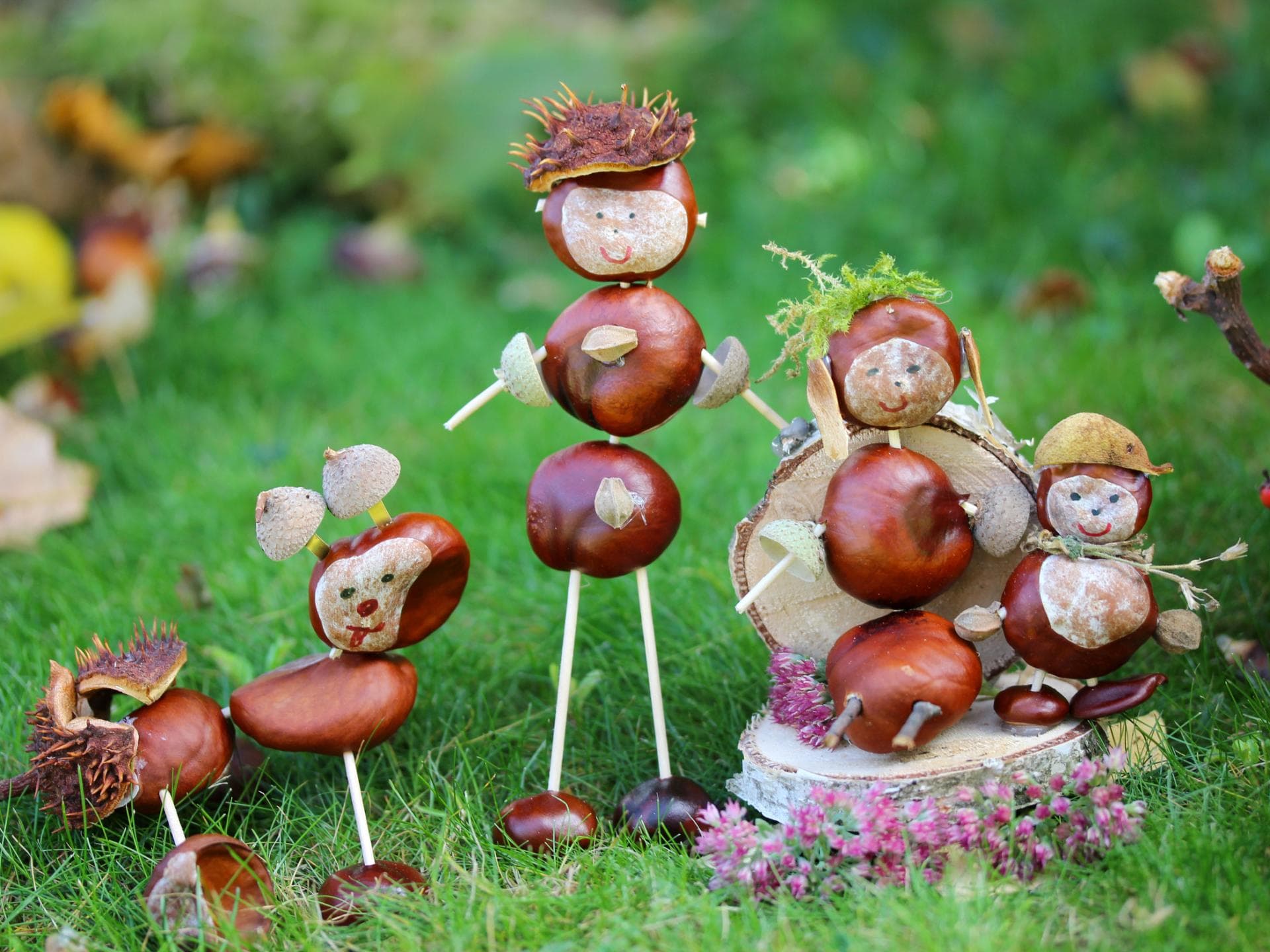 Süße Kastanienfiguren stehen im Garten.