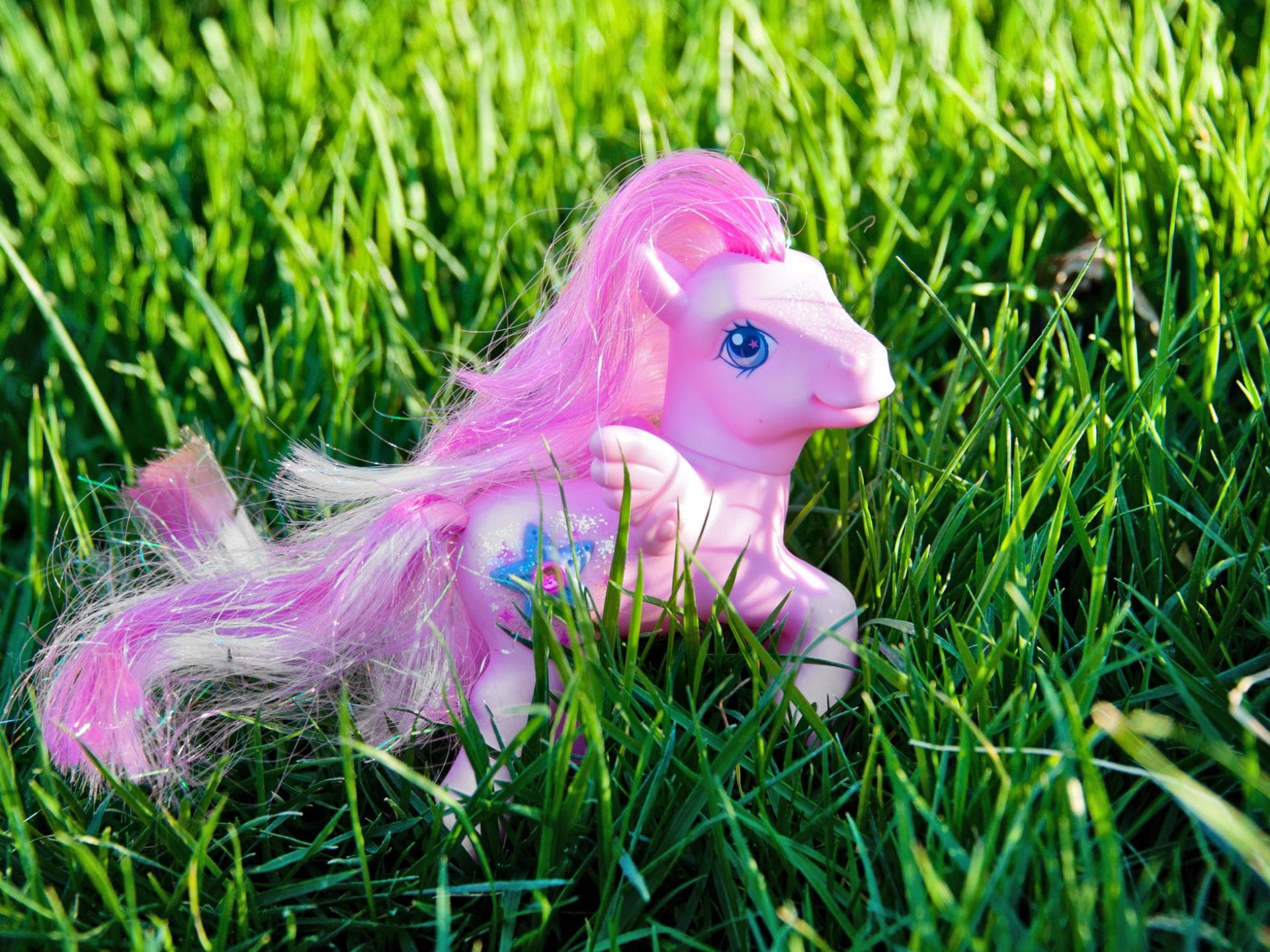 Ein pinkes Pferd, das zu den "My littly Pony" von früher gehört, steht auf dem Rasen.