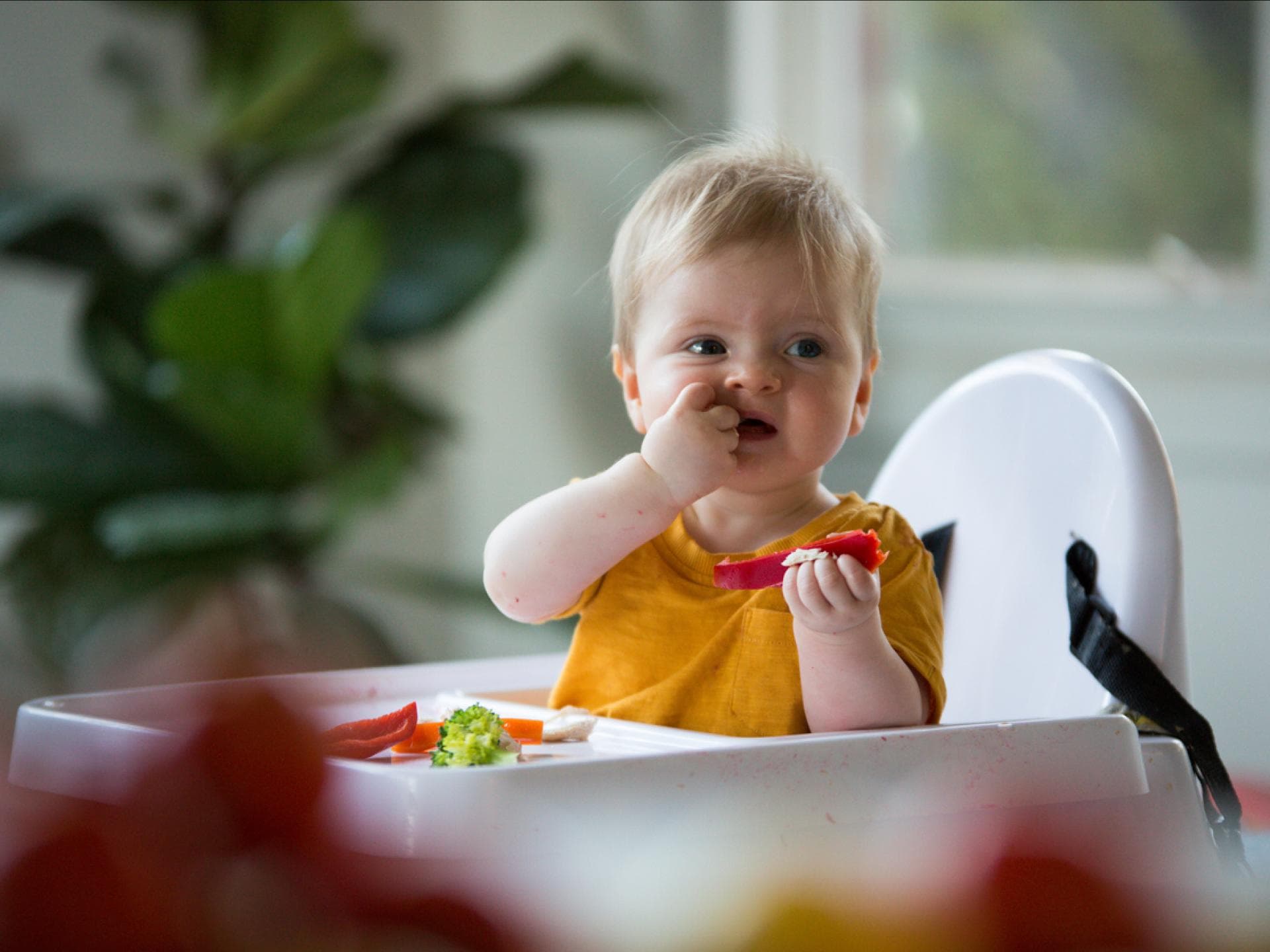Baby sitzt in Hochstuhl mit Tisch und isst
