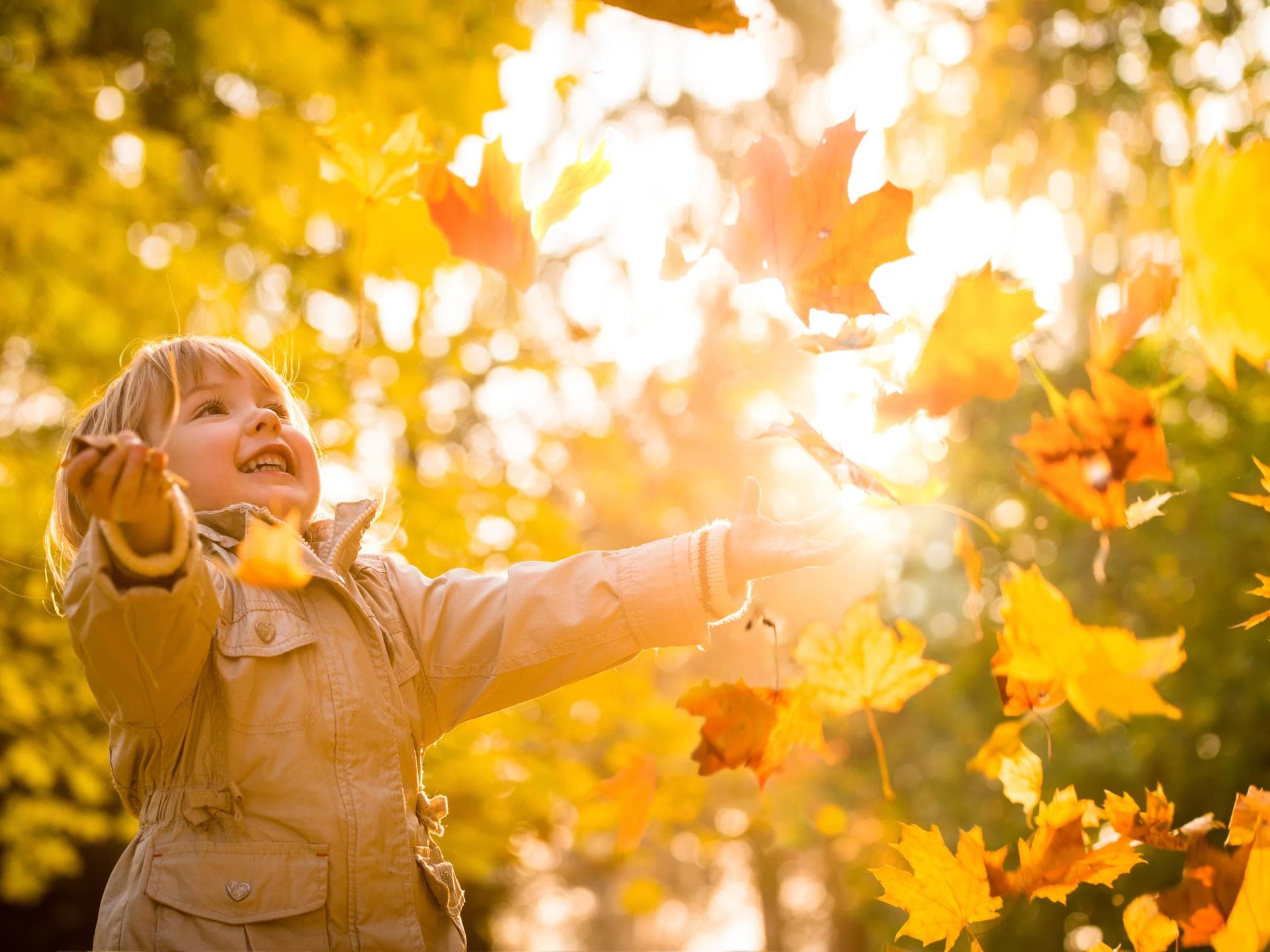 Ein Mädchen spielt mit Herbstblättern