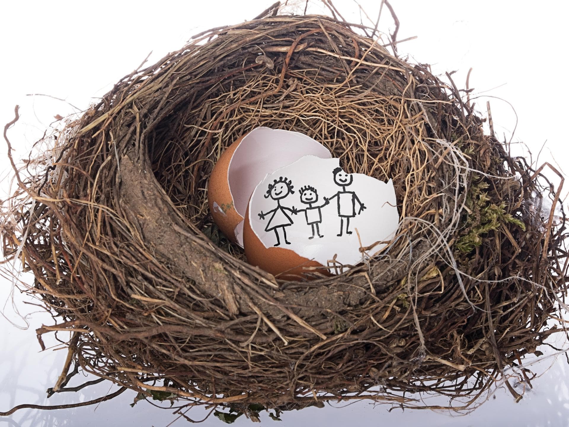 Gebrochenes Ei im Nest