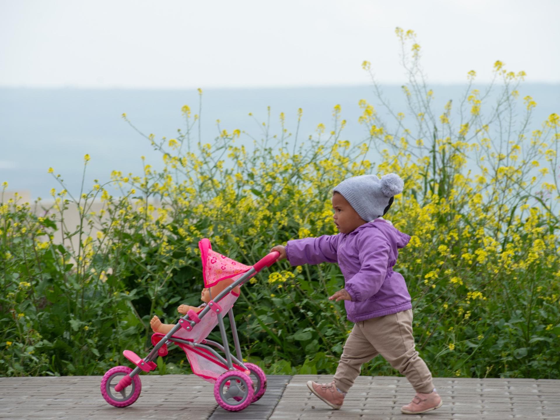 Puppenwagen sind ein wunderbares Spielzeug für Kinder.