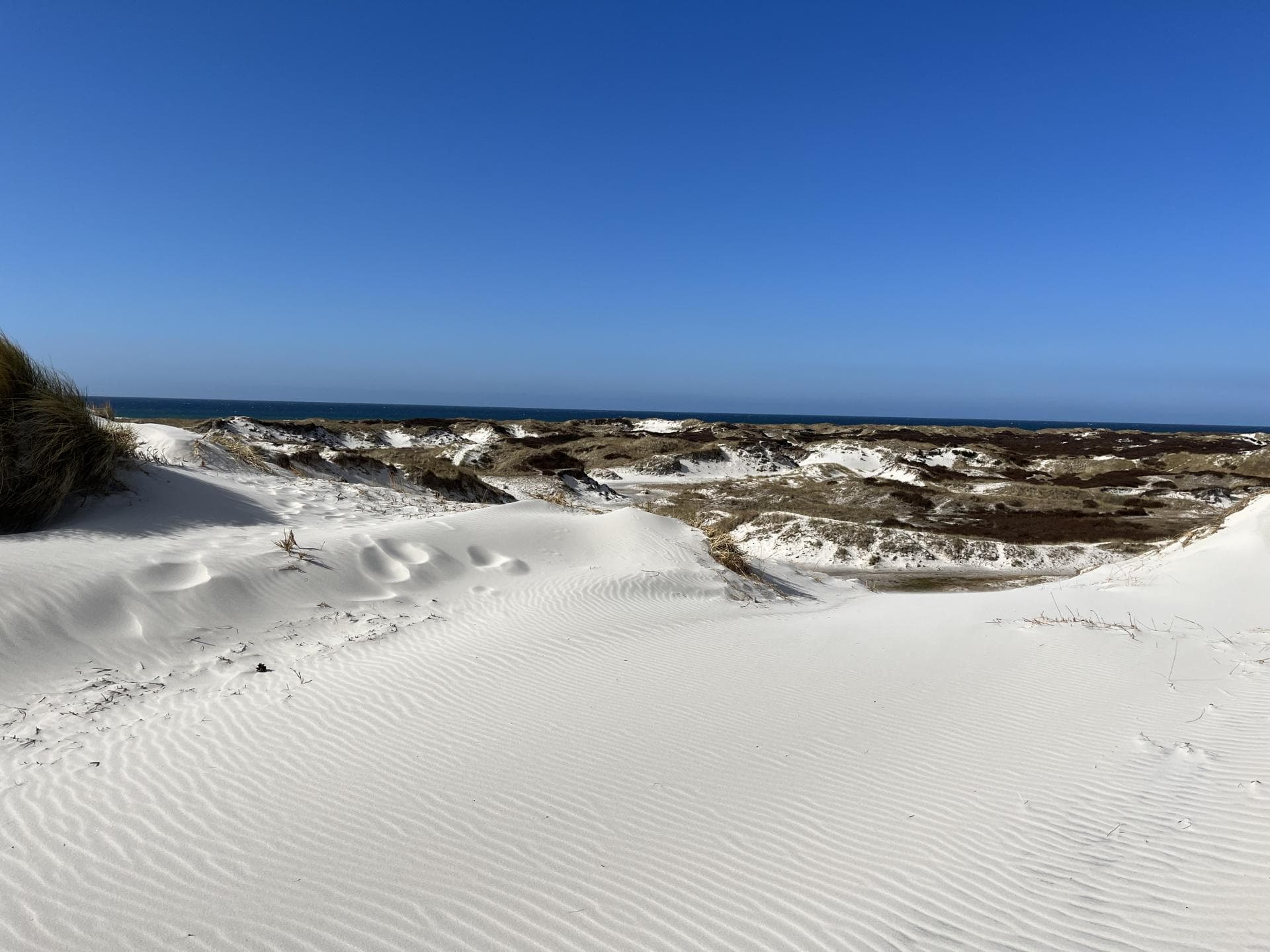 Die Dünen-Landschaft auf Bornholm Dünen-Landschaft auf Bornholm