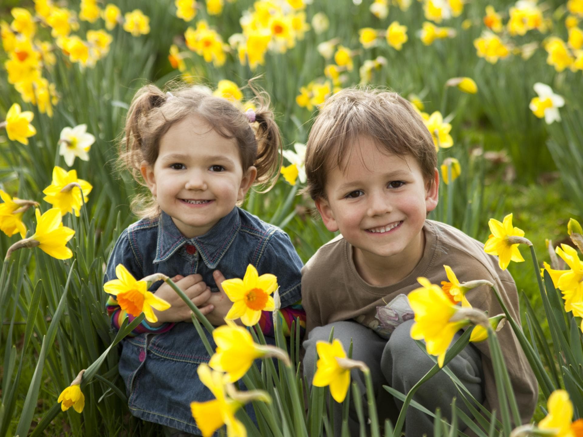 Geburtsblumen im März: Zwei Kinder sitzen in einem Narzissen-Feld. 