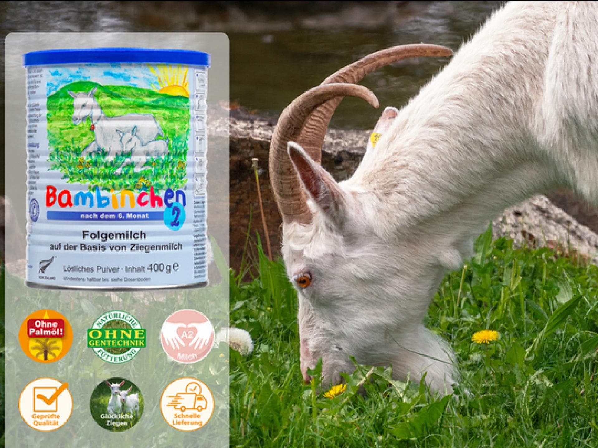Die Bambinchen Ziegenmilch ist eine Alternative zur Kuhmilch, die bei unseren Testerinnen sehr gut ankommt. 