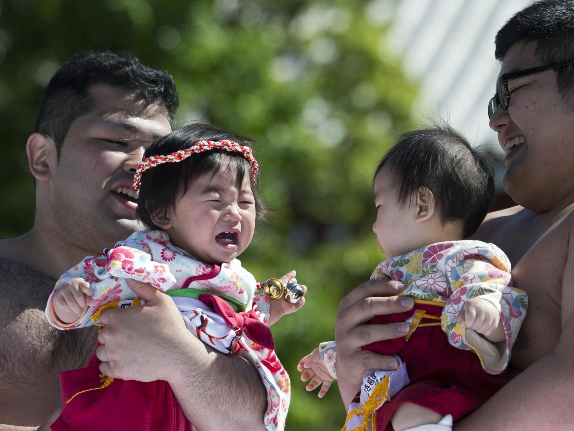 Das "Crying Sumo Festival" Das "Crying Sumo Festival"