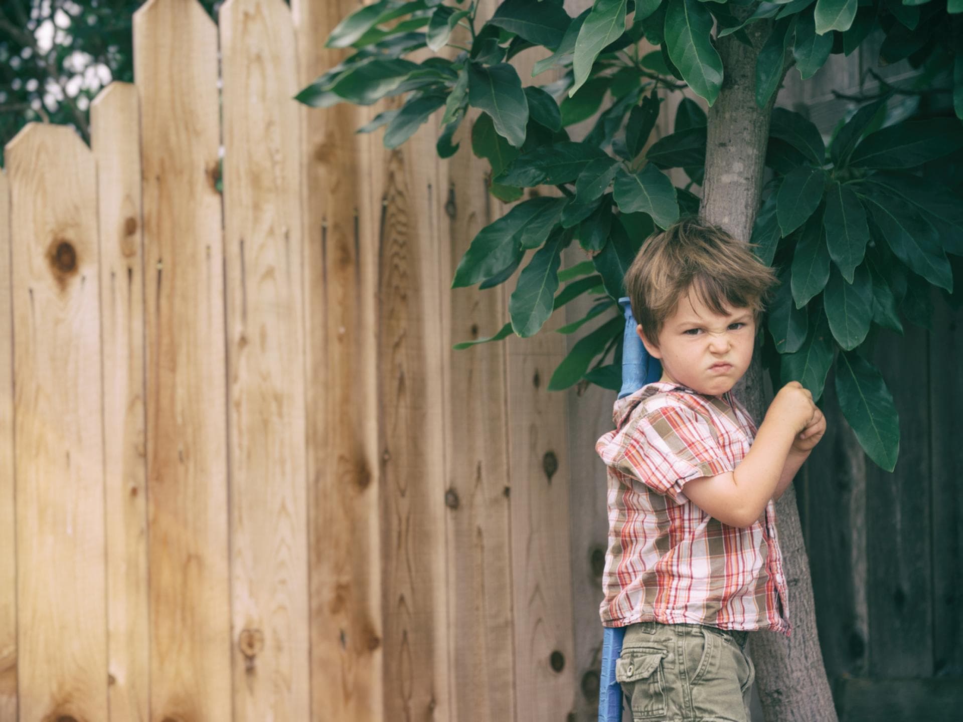 Wenn Eltern die Gefühle ihrer Kinder unverhältnismäßig stark in den Fokus rücken, kann das problematisch sein. Junge schaut ärgerlich in die Kamera.