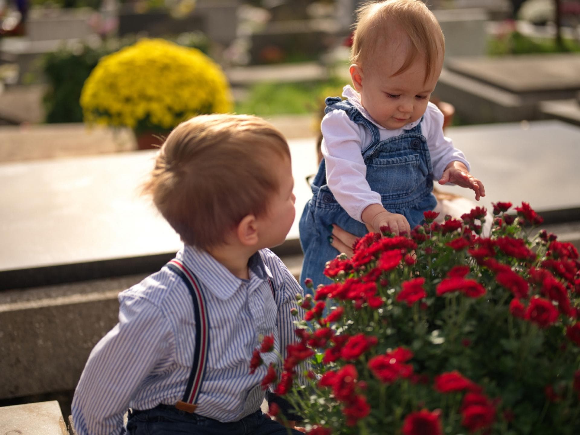 Ein Friedhof kann durchaus ein Ort der Inspiration sein: für Babynamen. Zwei kleine Kinder auf einem Friedhof.