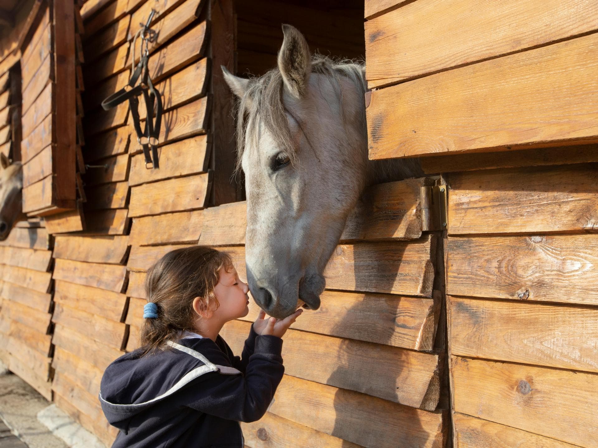 Ein Kind kuschelt mit einem Pferd Nase an Nase.