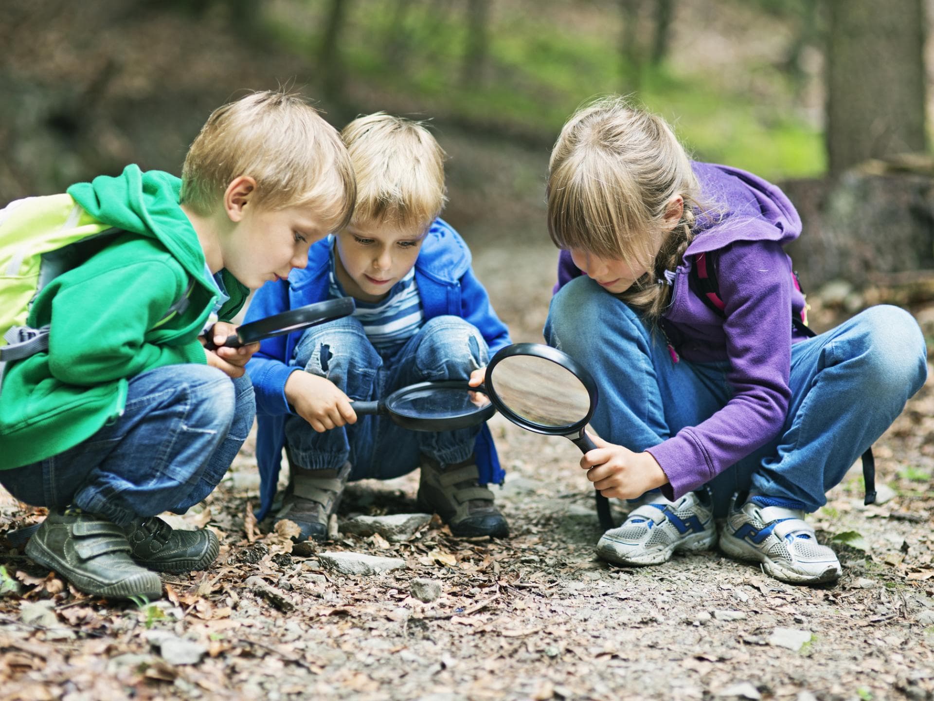 Drei Kinder beobachten die Natur mit Lupen.
