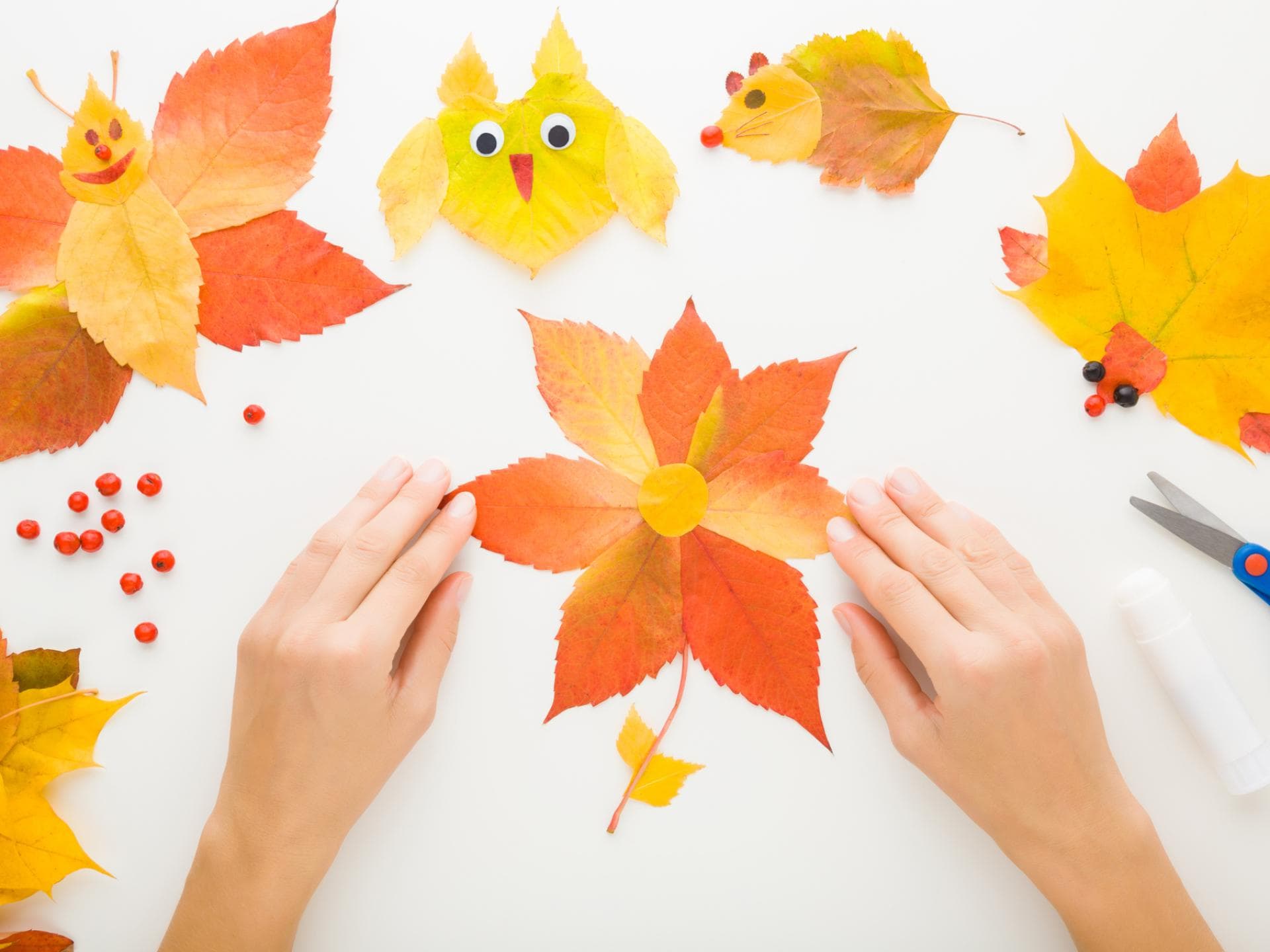 Eine Eule aus Herbstblättern basteln
