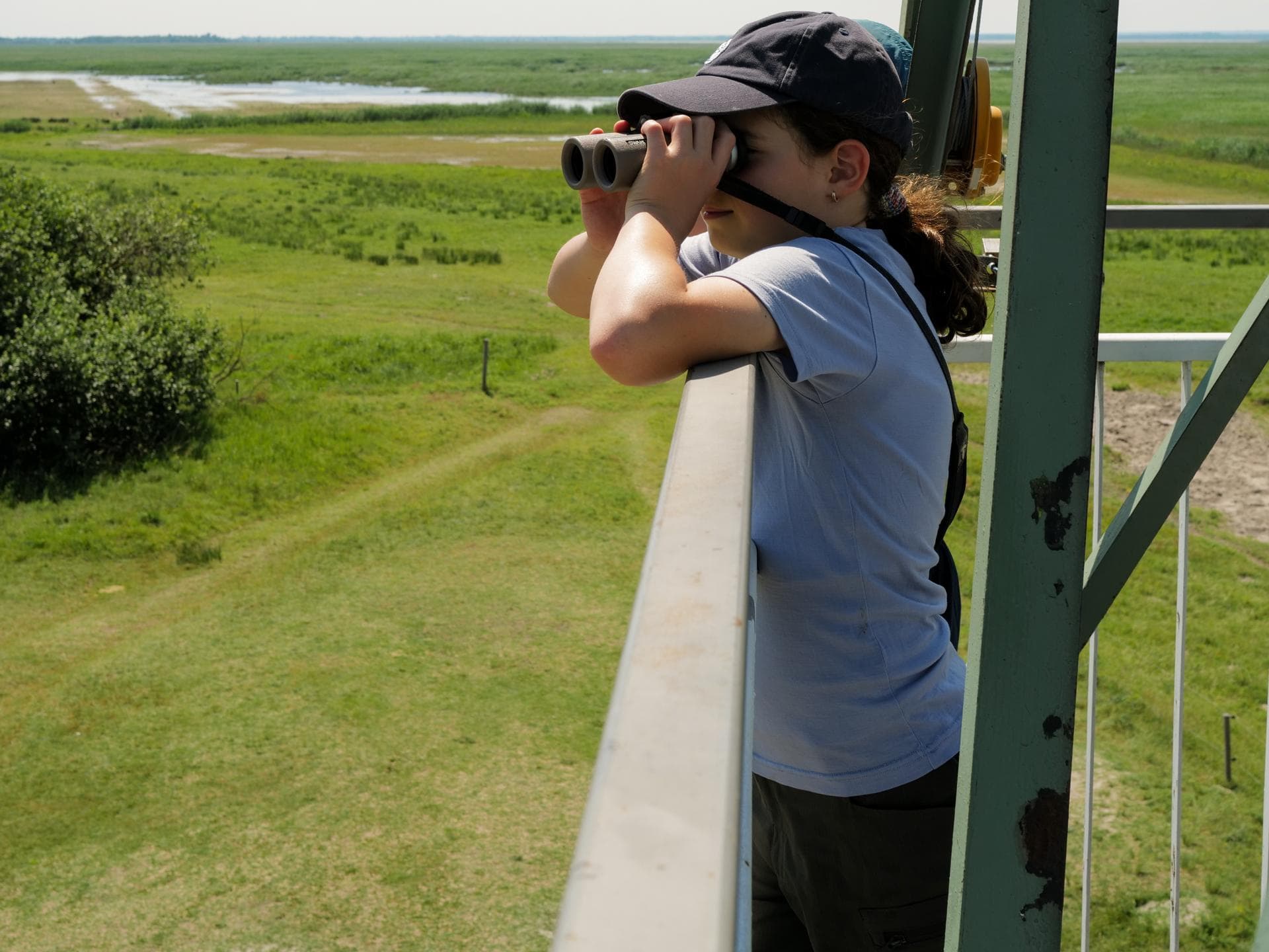 Natur im Burgenland