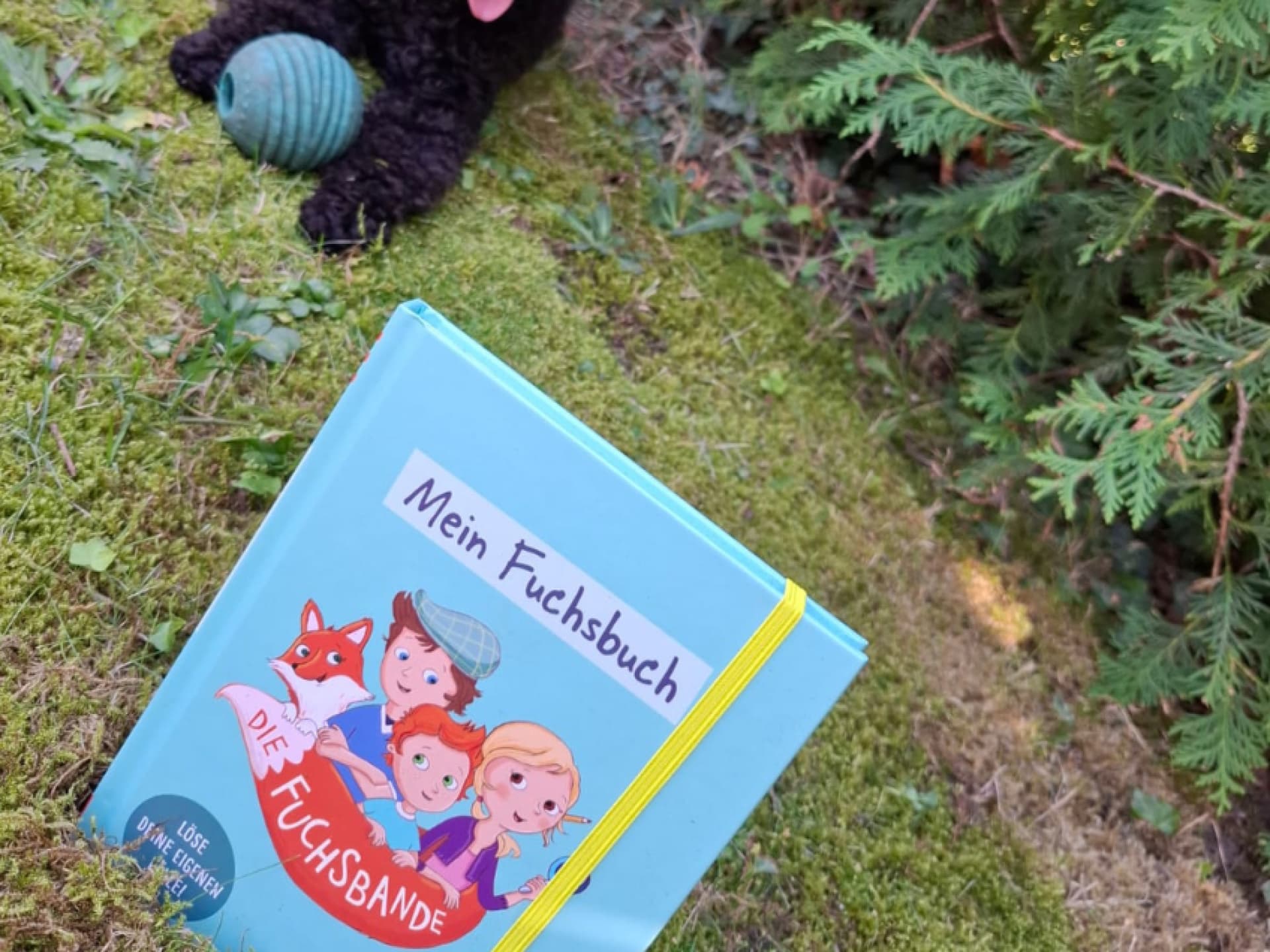 "Die Fuchsbande" kommt bei den Kindern aus Marylins Kita richtig gut an. "Die Fuchsbande" kommt bei den Kindern aus Marylins Kita richtig gut an.