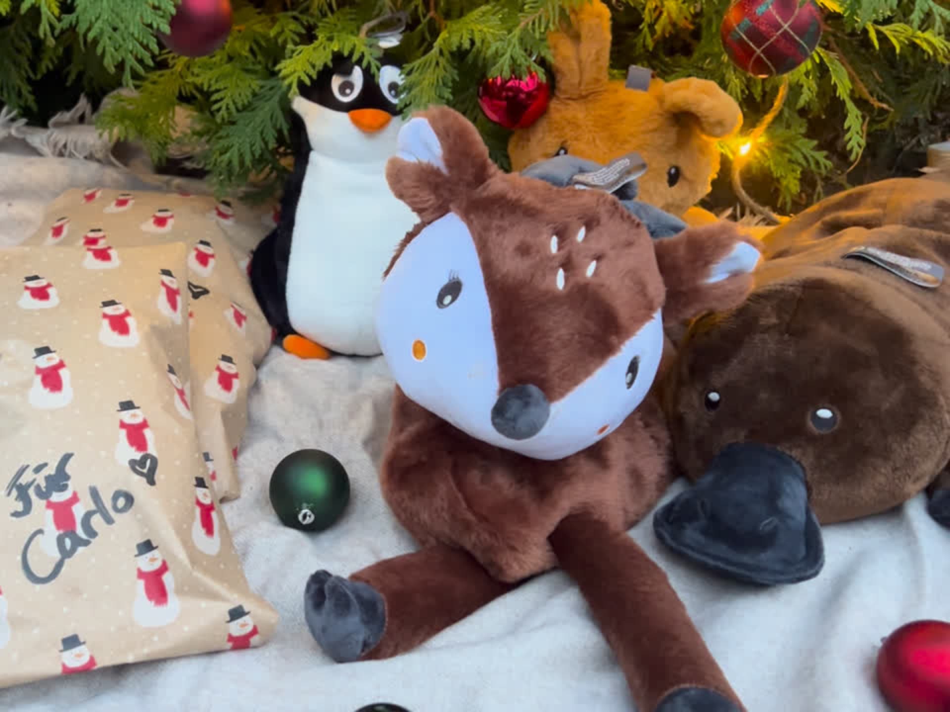 Kinderwärmflaschen von Fashy. Kinderwärmflaschen von Fashy.