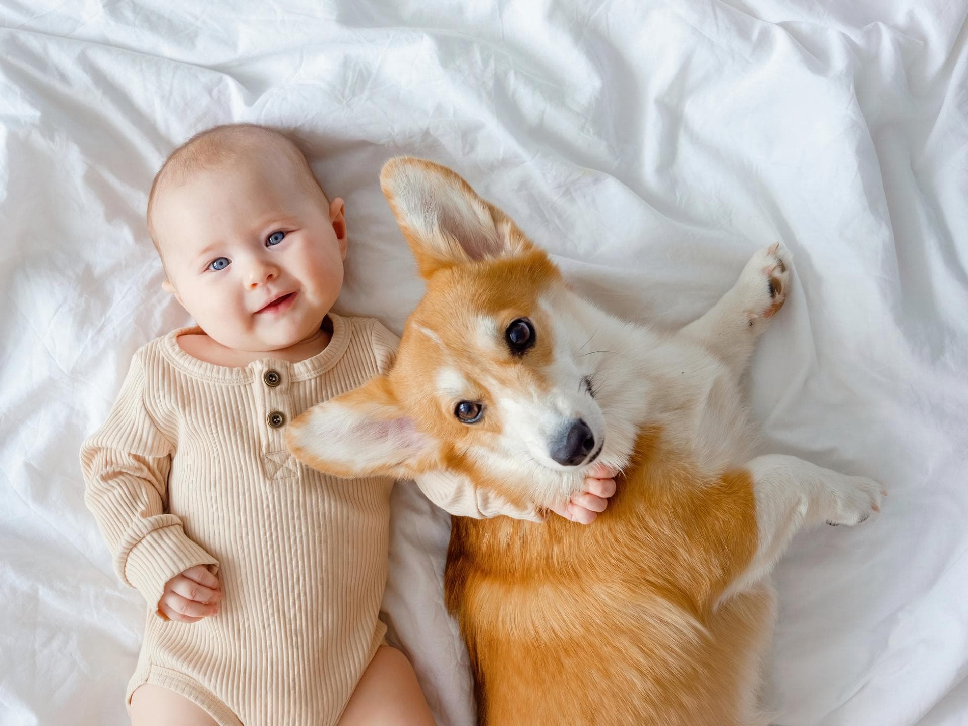 Baby kuschelt mit Hundewelpen.