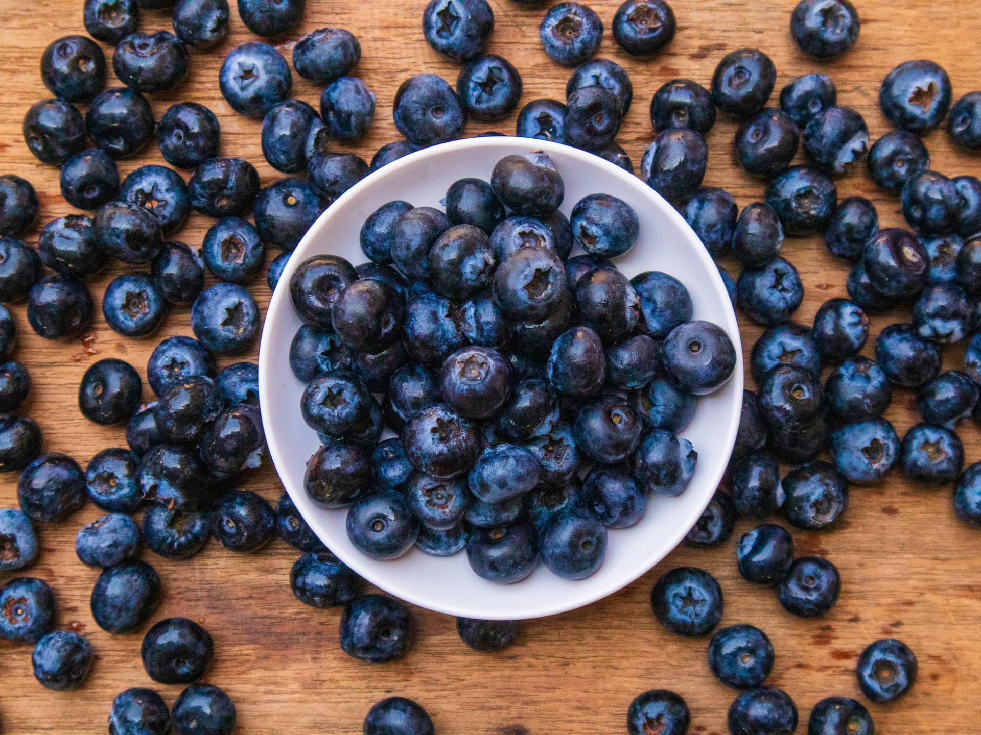 Blaubeeren in einer Schale.