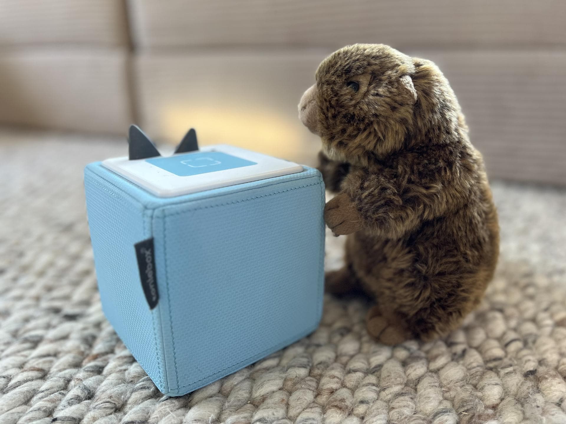 Eine Toniebox