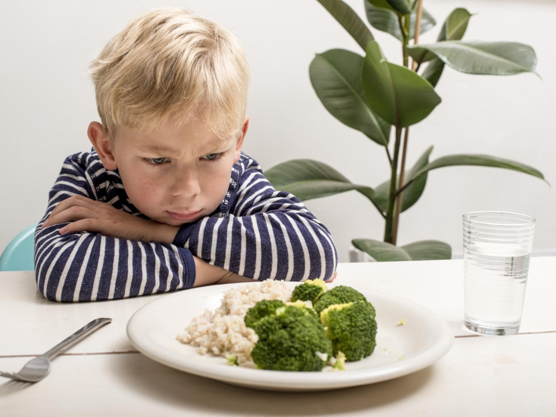 Kinder sind beim Abendessen oft wählerisch. Junge will nicht sein Gemüse zu essen.