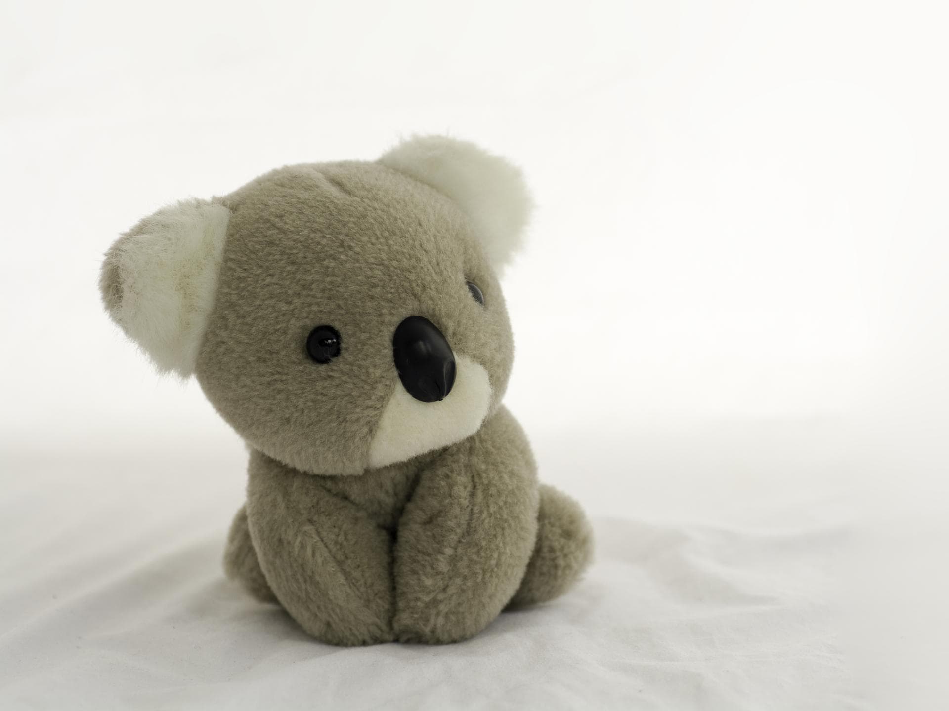 Das Toniebox-Codewort Koala einfach erklärt Ein Koala Kuscheltier