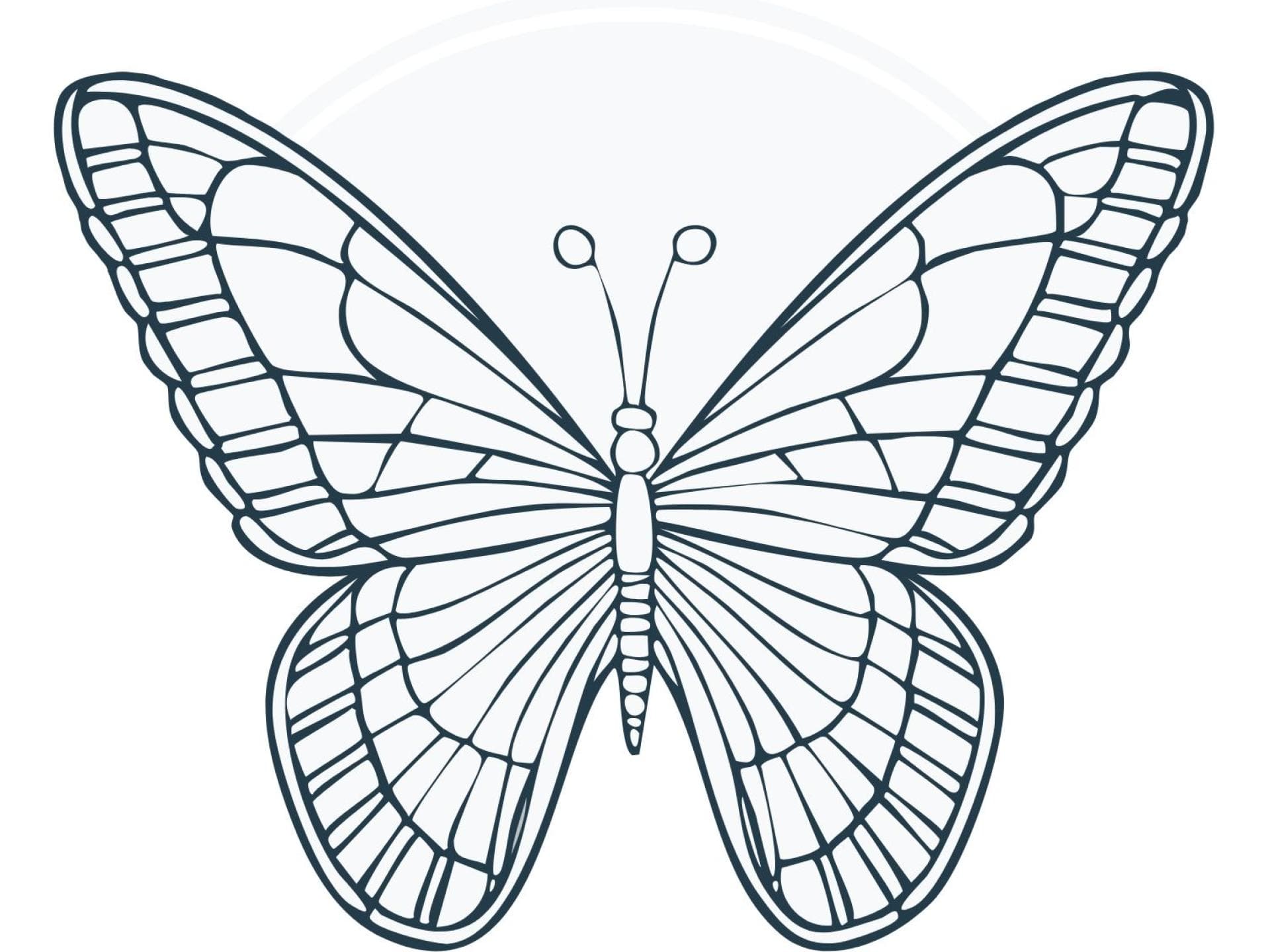 Malvorlage Schmetterling