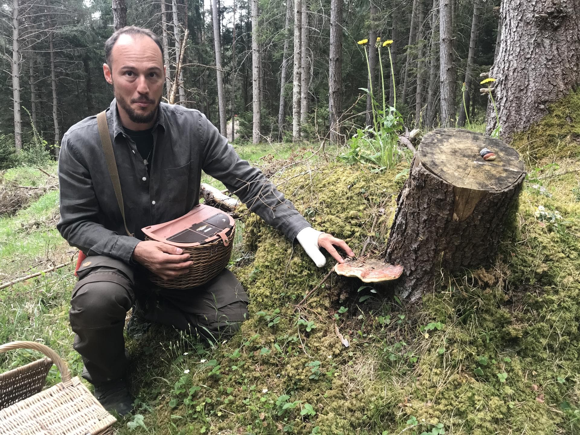 Pilzexperte Tirol Pilzexperte Tirol