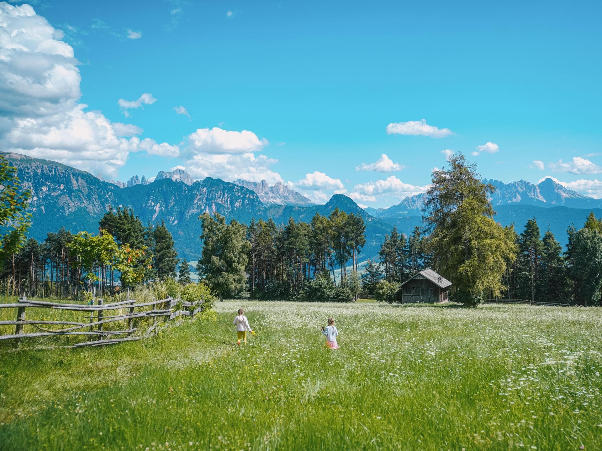 Kinder laufen über eine grüne Wiese in den Alpen.