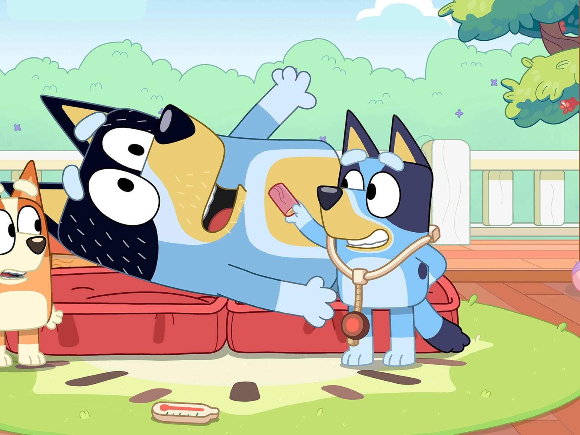 Bluey Bluey