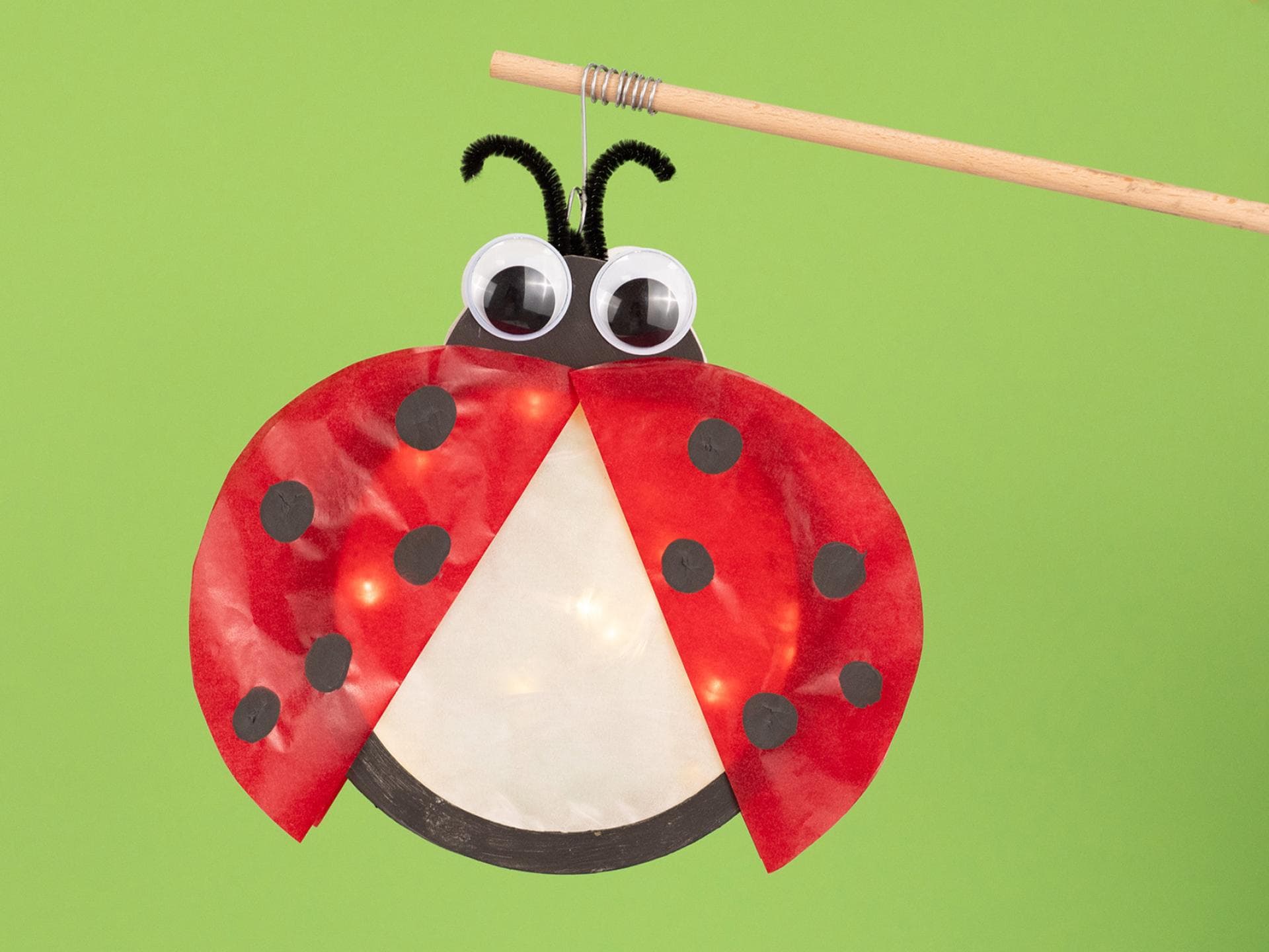 Selbst gebastelte Marienkäfer-Laterne. Selbst gebastelte Marienkäfer-Laterne.