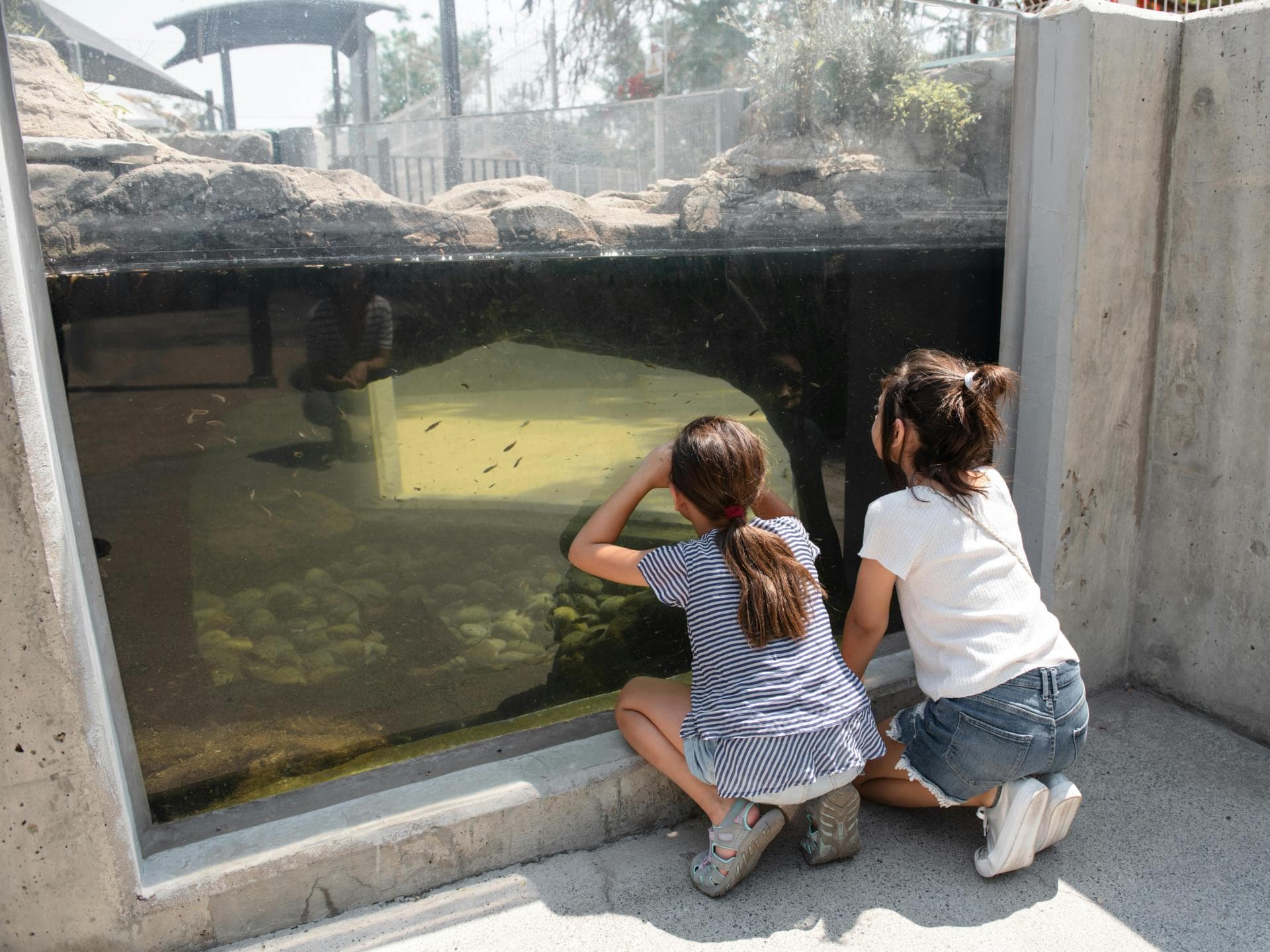 Zwei Kinder schauen durch eine Fensterscheibe in einem Zoo. 