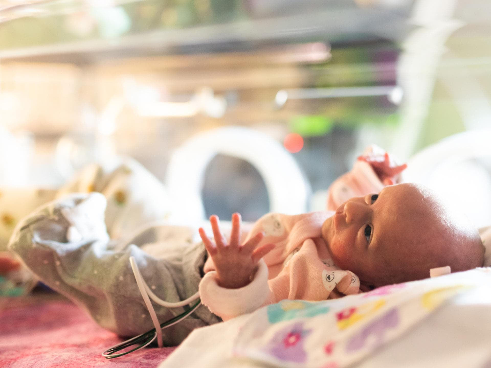 So klein, so zart: Ein Baby auf der Frühchenstation.