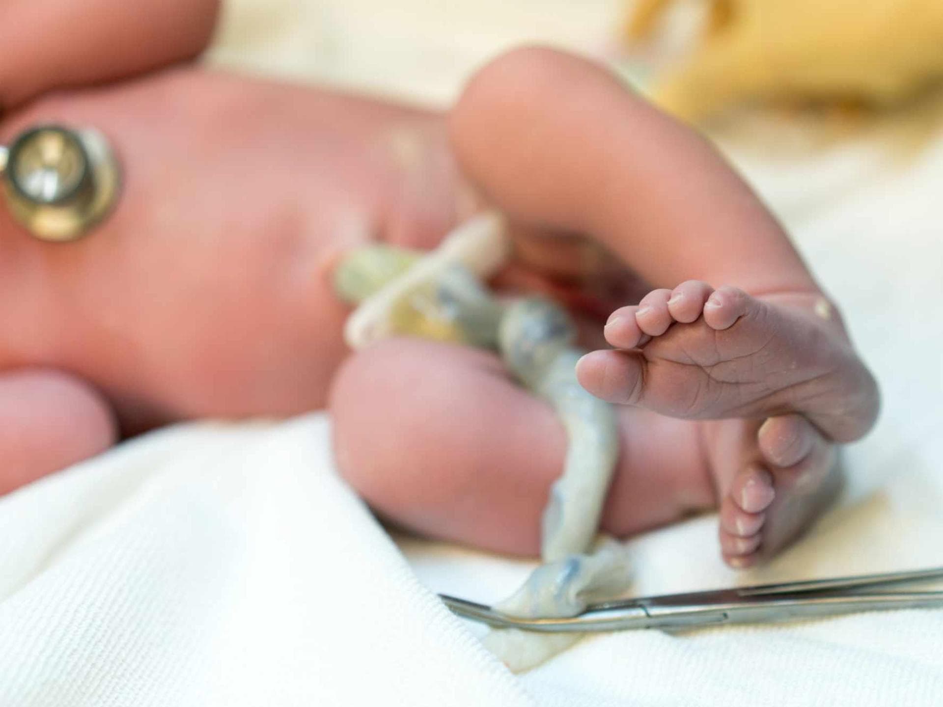 Studien ergaben: Schon bei der Geburt befinden sich die "ewigen Chemikalien" im Nabelschnurblut von Babys.