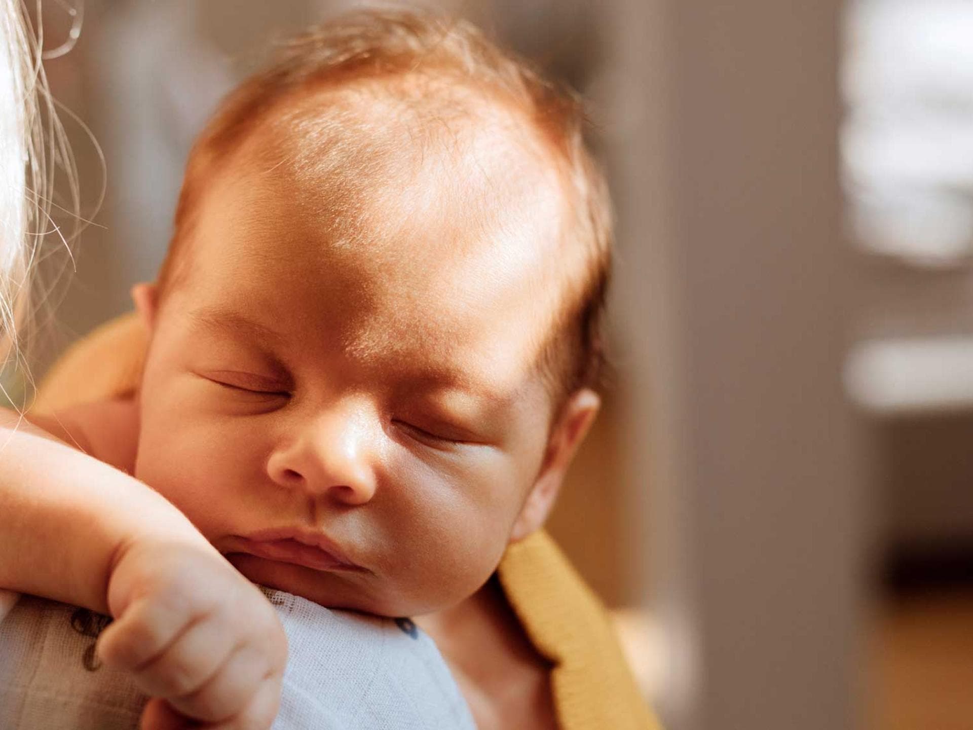 Hach, ist das herrlich von Mama herumgetragen zu werden!