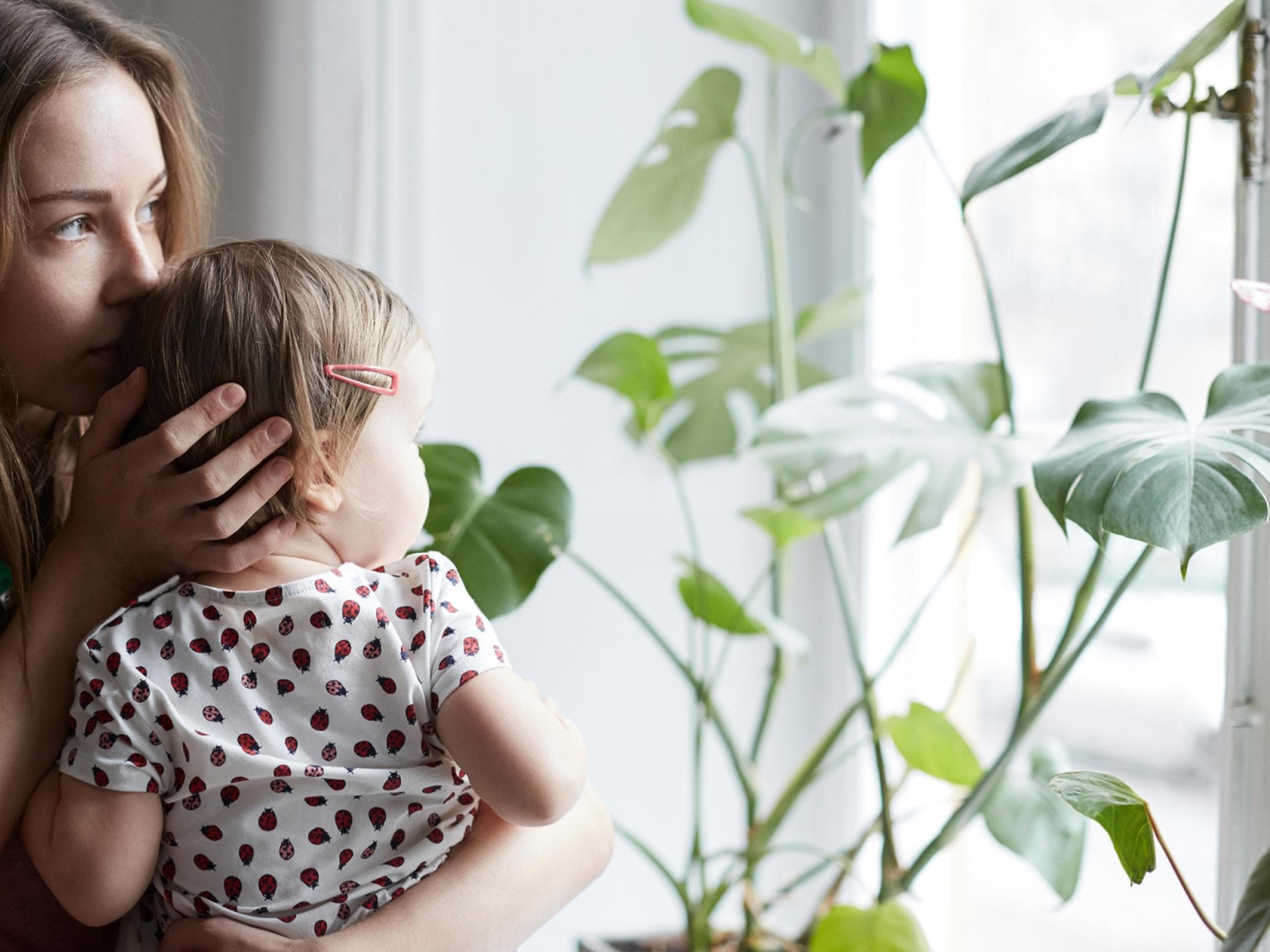 Wie grün wird die Erde noch sein, wenn unsere Kinder alt sind?