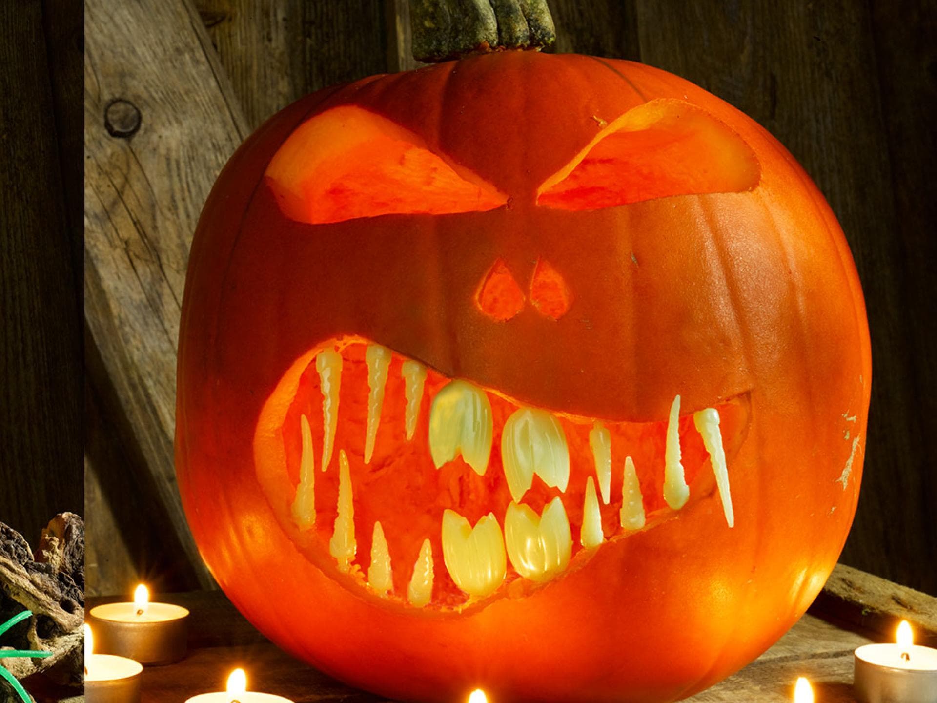 Kinder lieben es zu Halloween einen Kürbis zu schnitzen. Zwei gruselige Halloween-Kürbisse