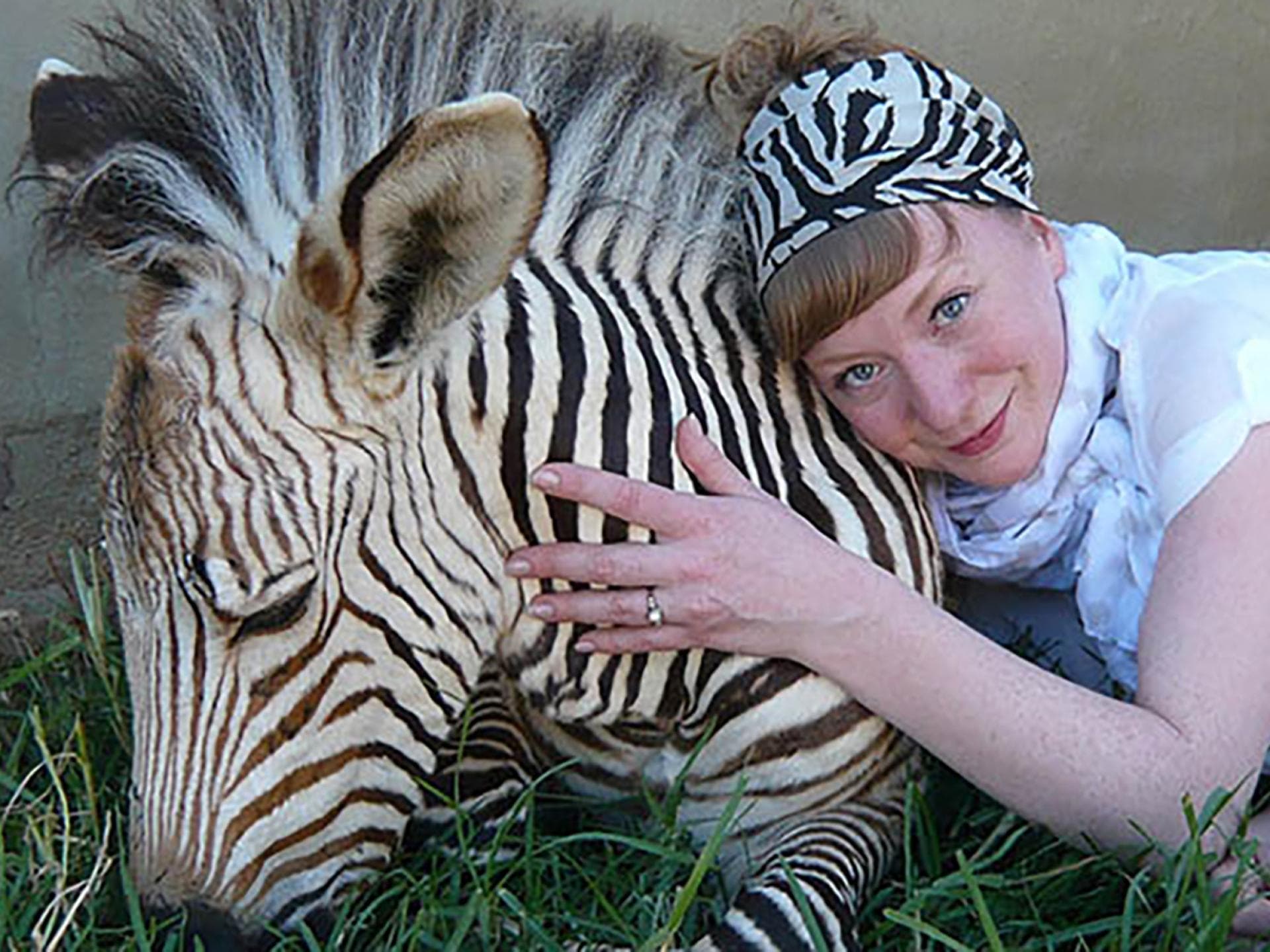 Paula und die wilden Tiere