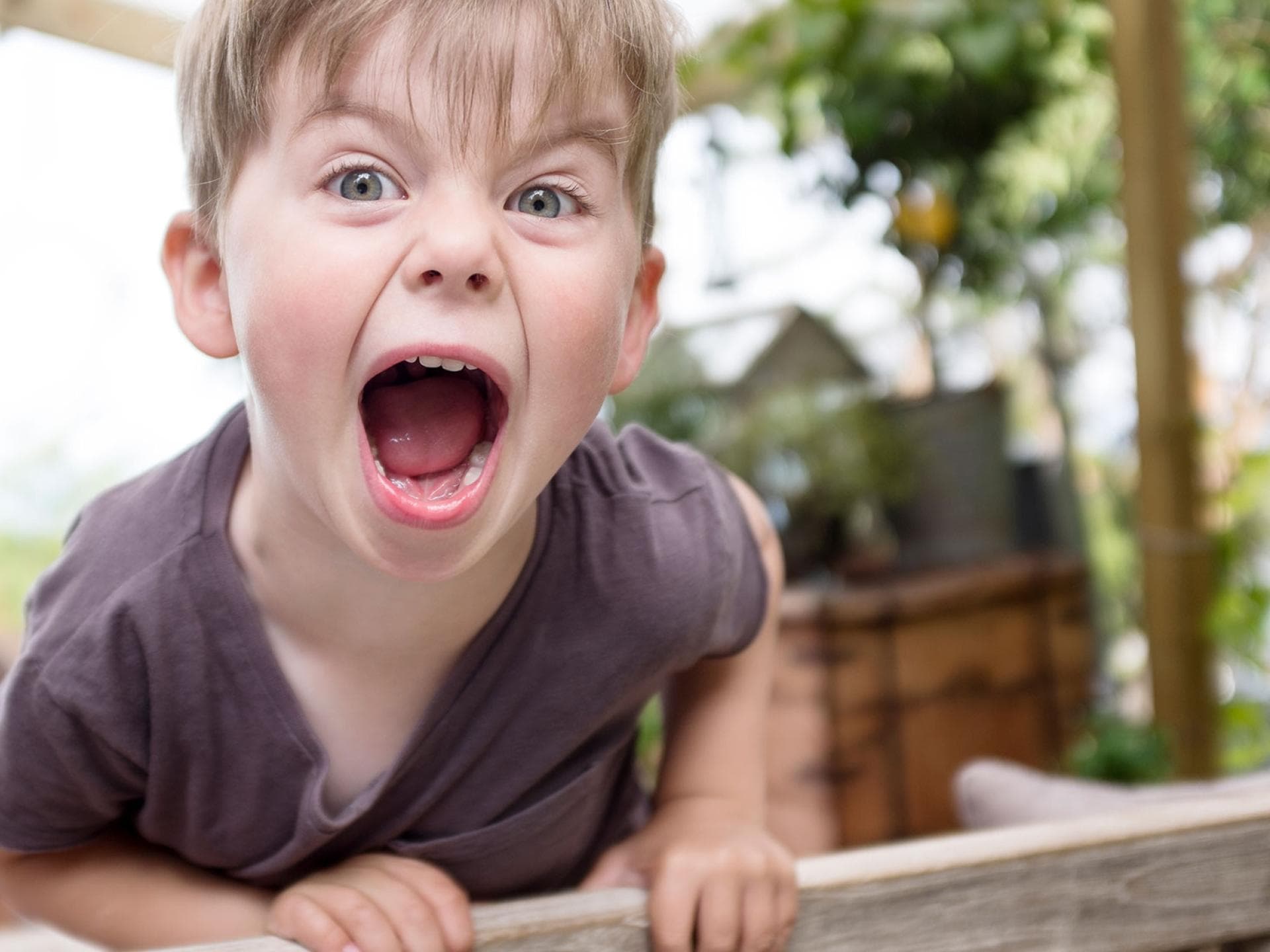 In der Trotzphase können aus kleinen Kindern schon mal kleine Wutzwerge werden. Das ist aber ganz normal.