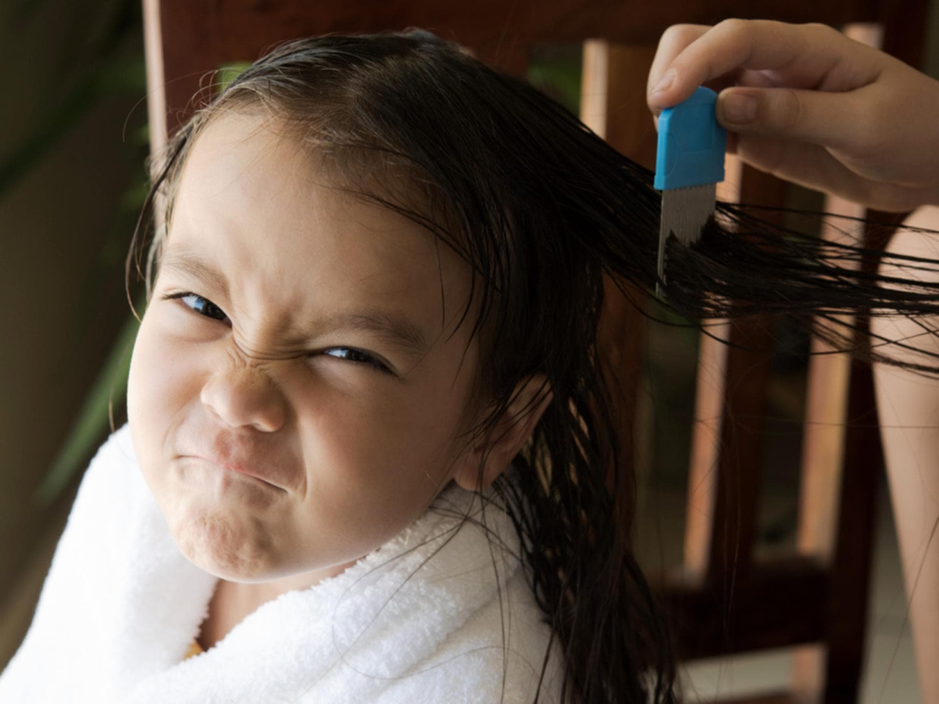 Mutter kämmt die Haare ihres Kindes mit einem Läusekamm aus.