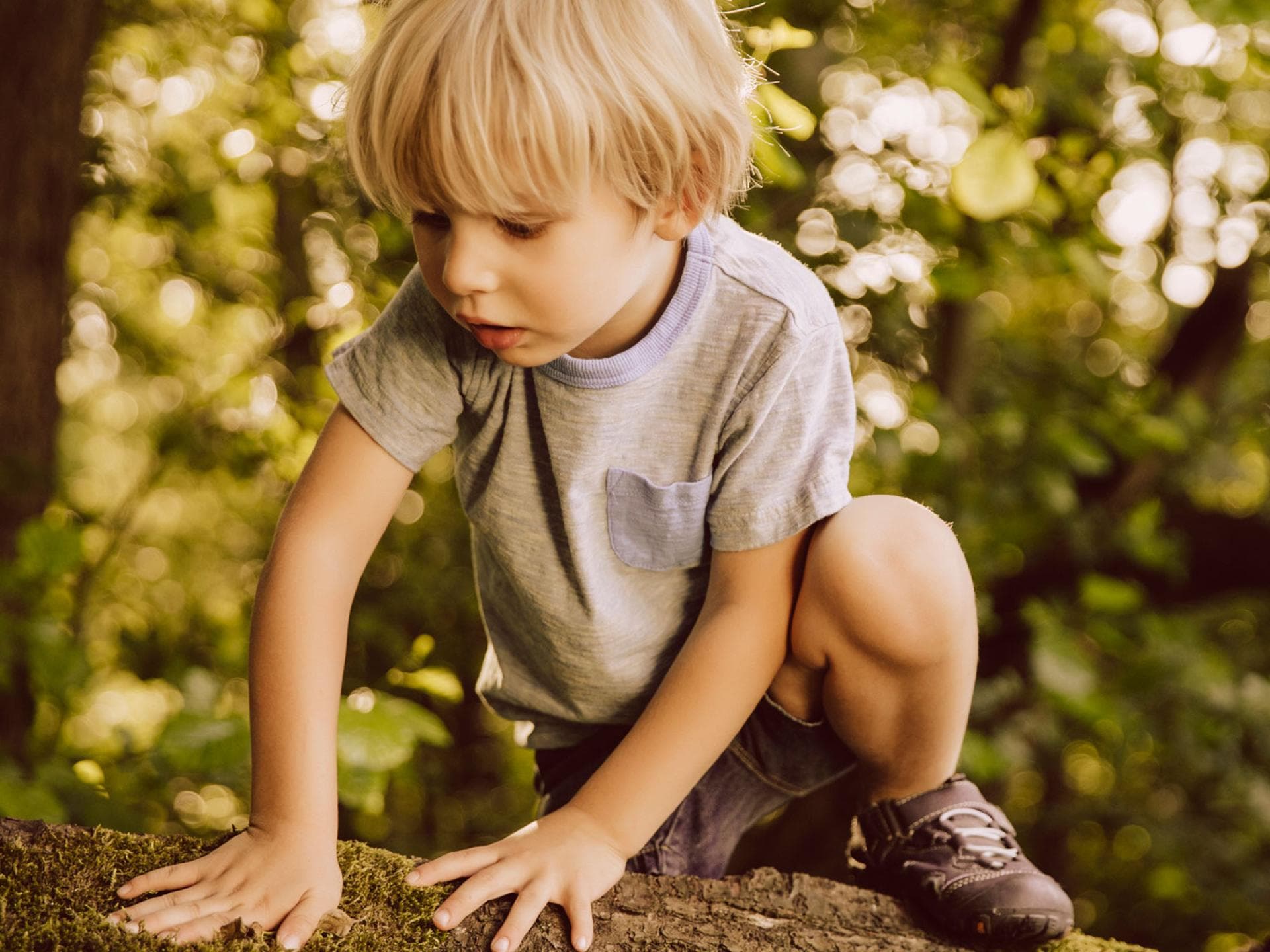 Kinder können so viel spüren und dabei lernen, vor allem auch im Wald. Kind klettert auf einen Ast