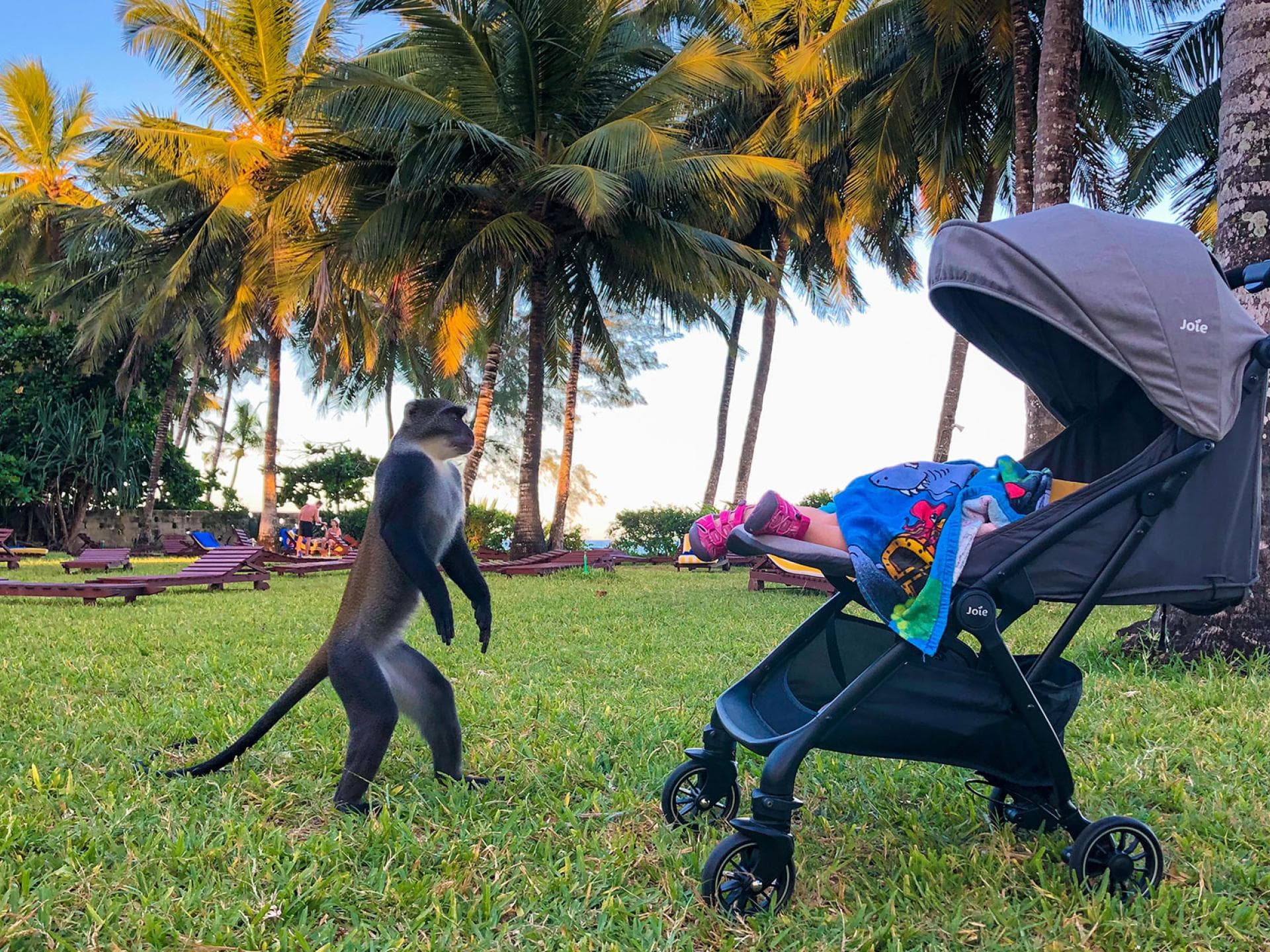 Während die Kleine schläft, werden exotische Wesen auf den Buggy aufmerksam ....