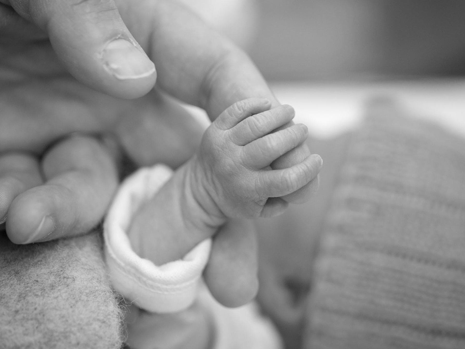 Elternhand und Babyhand.